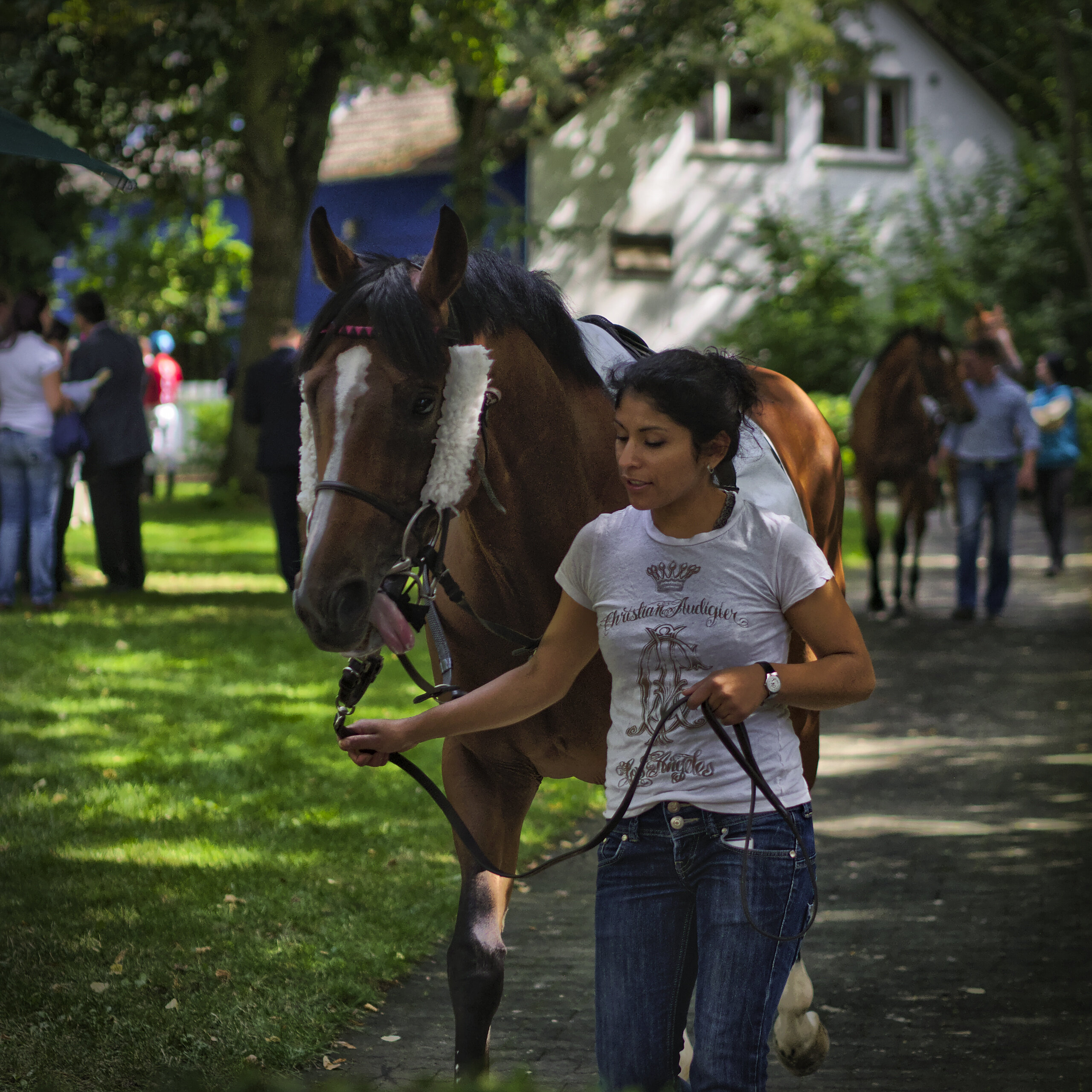 Pre-race Paddock Inspection