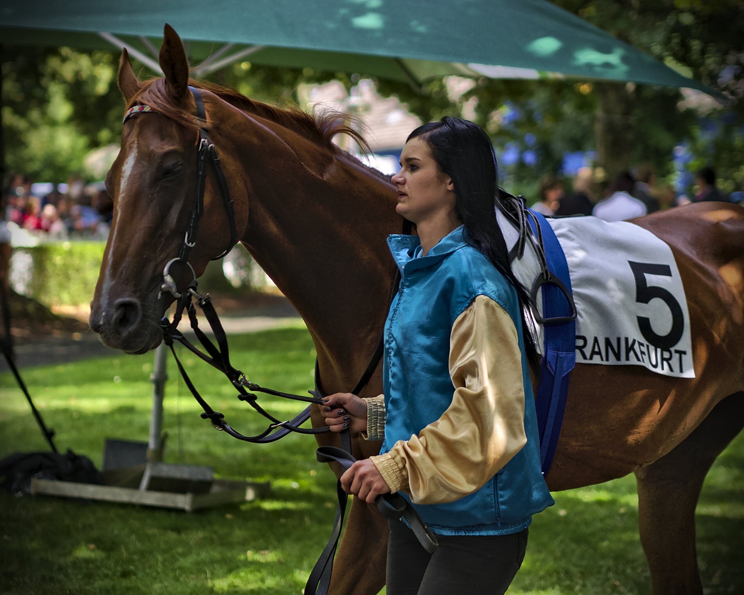 Pre-race Paddock Inspection