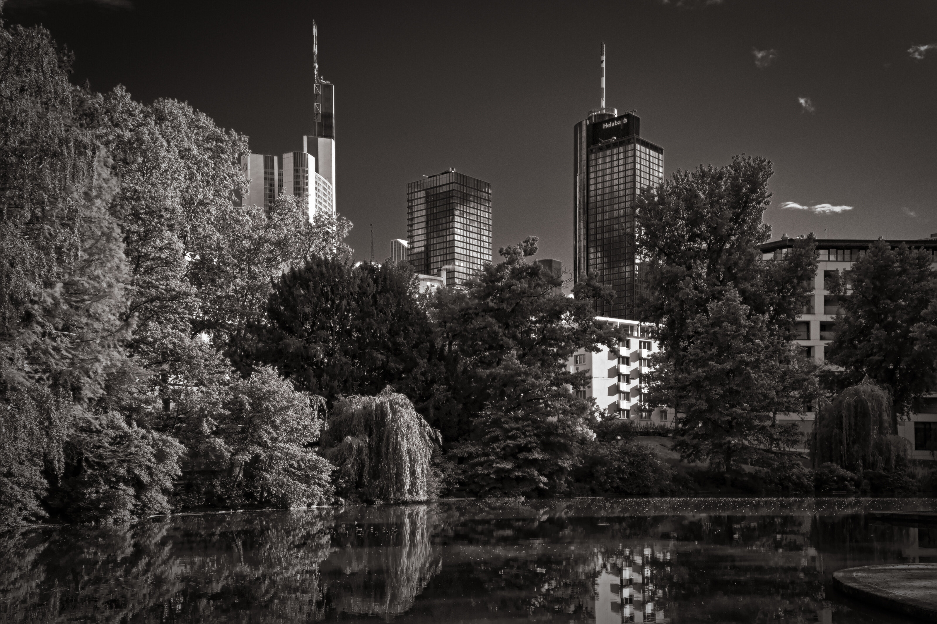 Albert-Mangelsdorff-Weiher