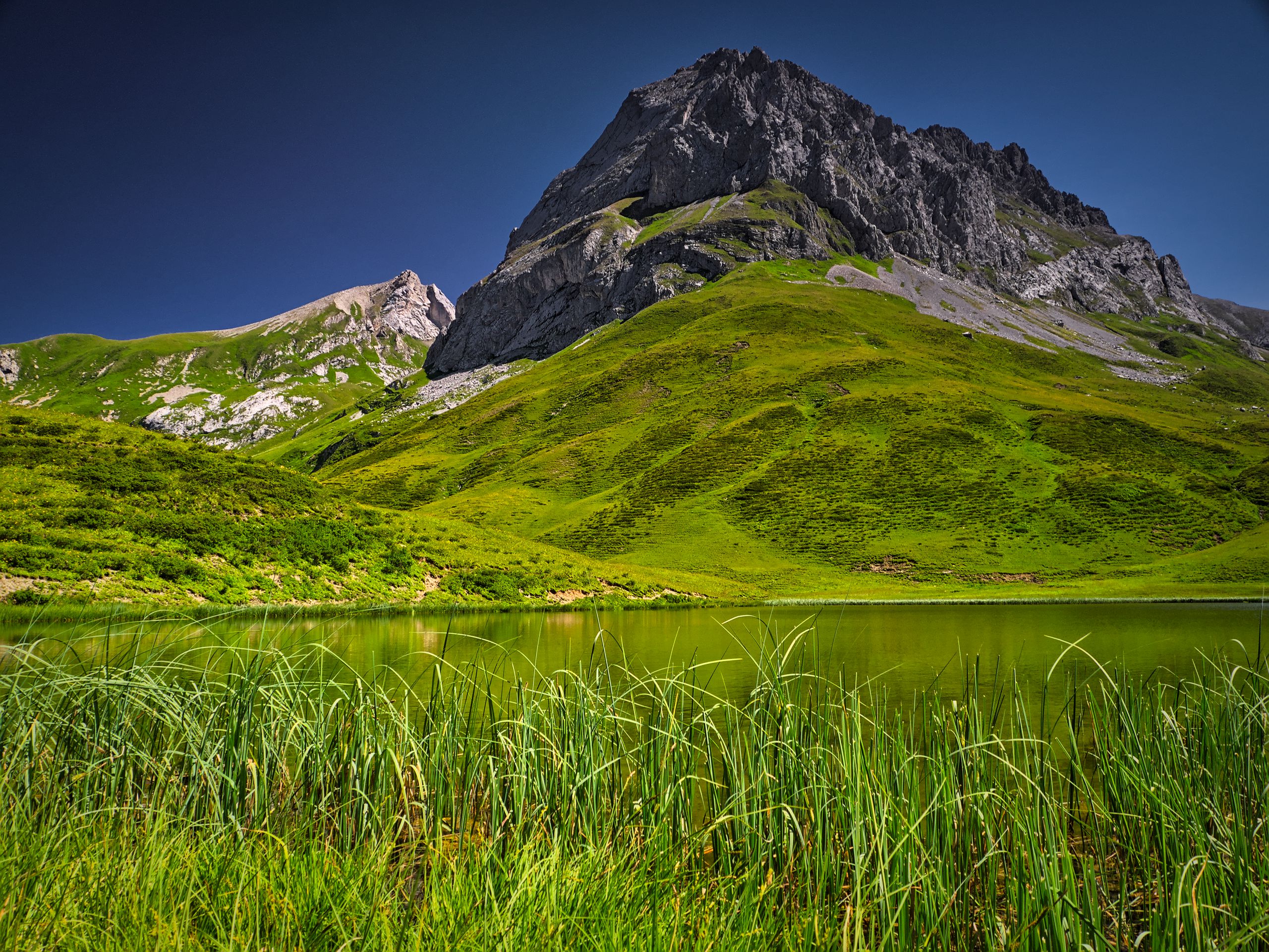 Alpsee / Roggalspitze