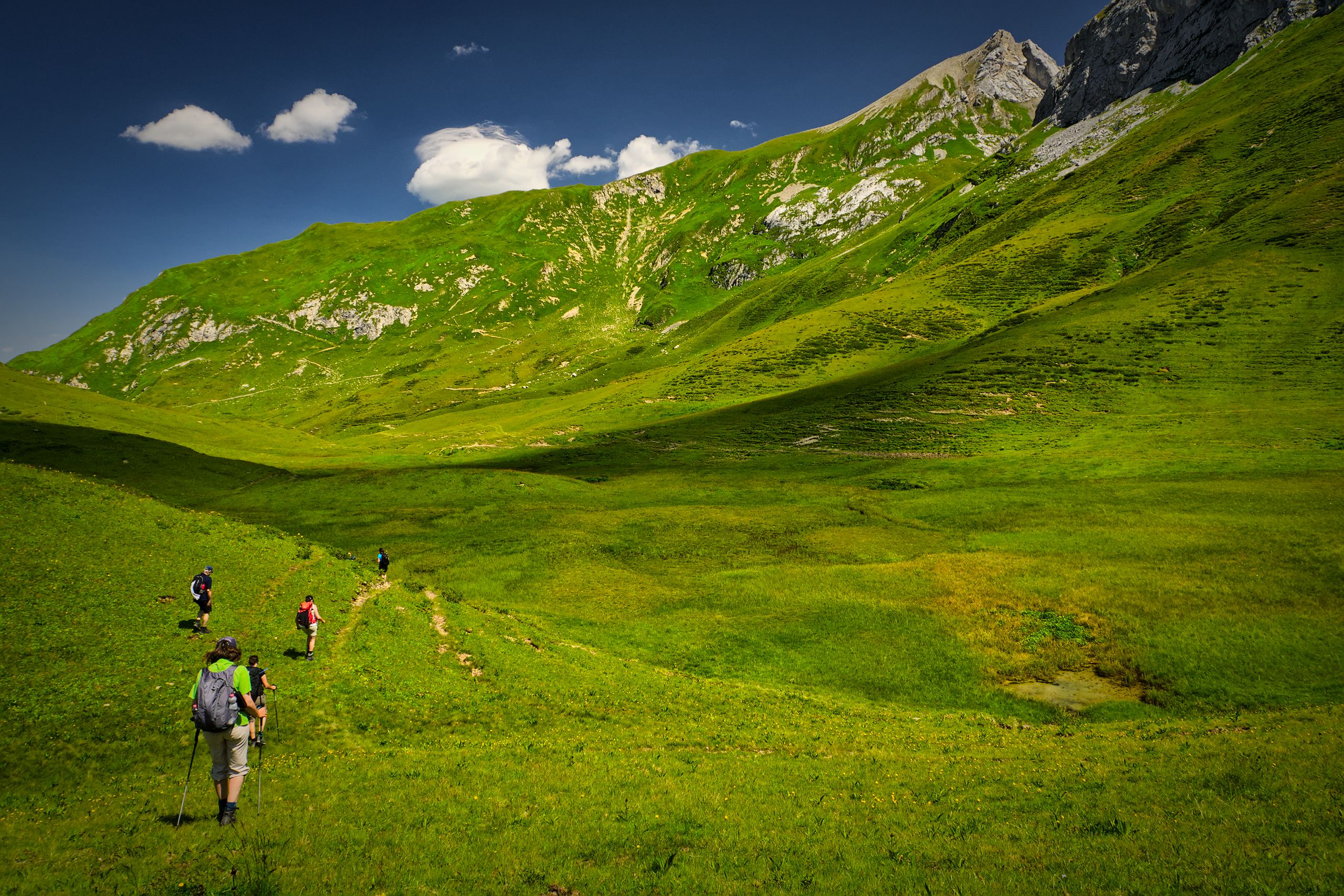 Lechquellen Mountains