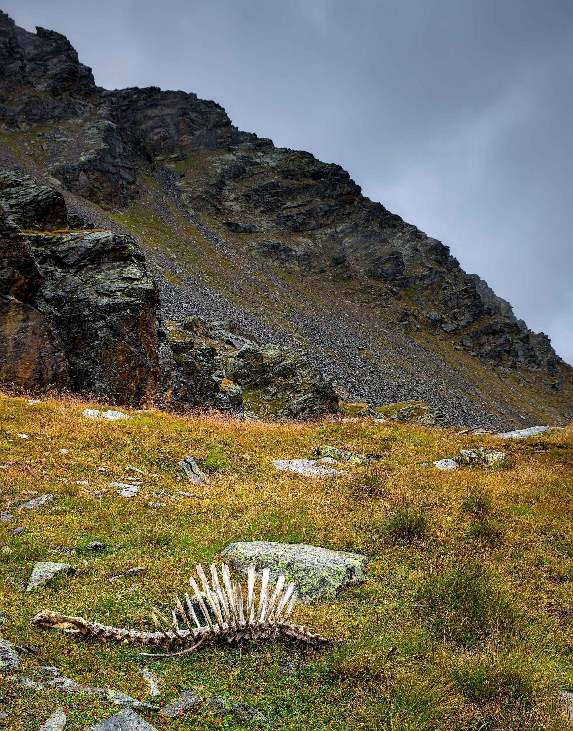 Skeleton near Kichbergjoch