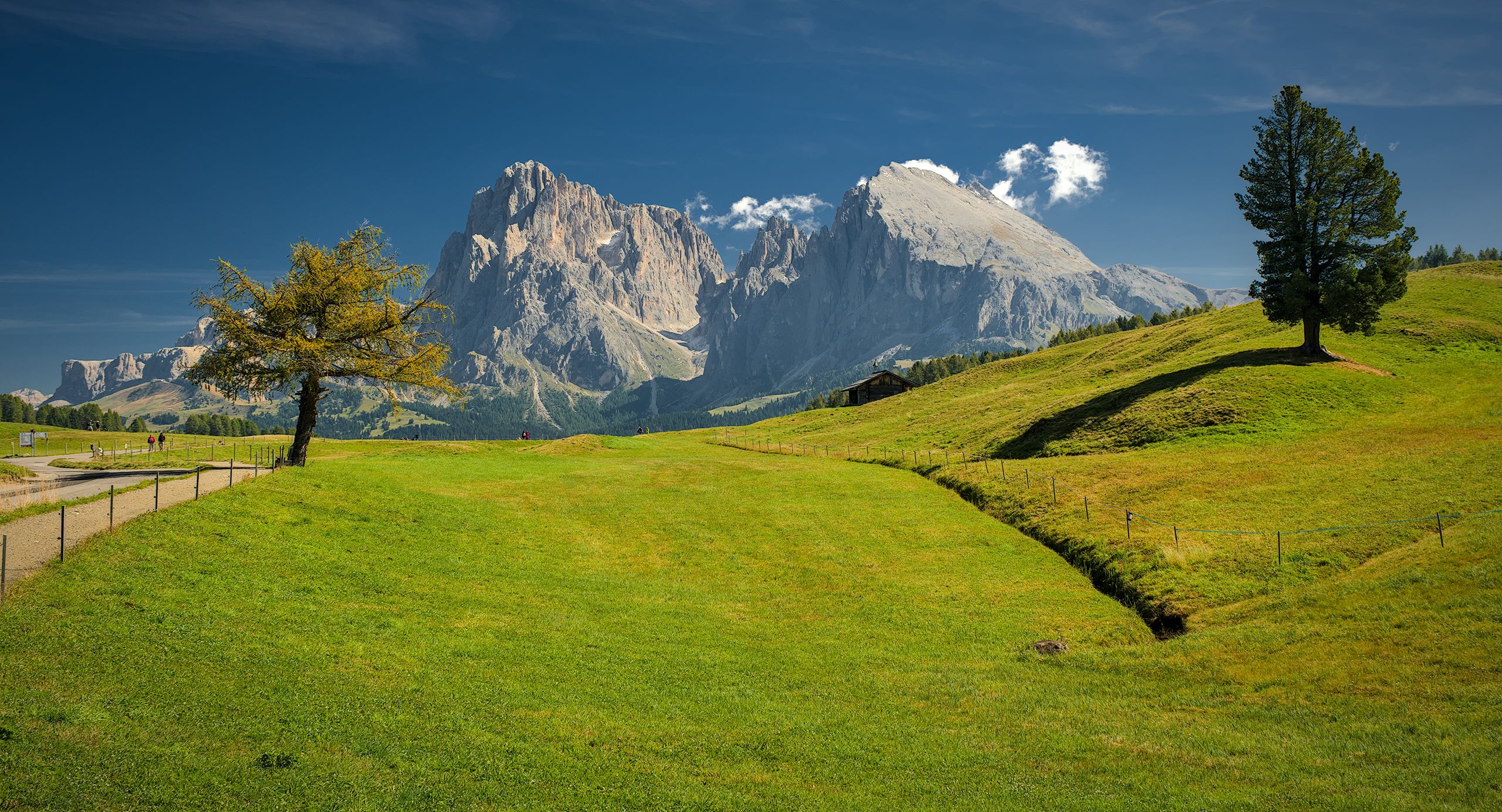 Alpe di Siusi (Seiser Alm)