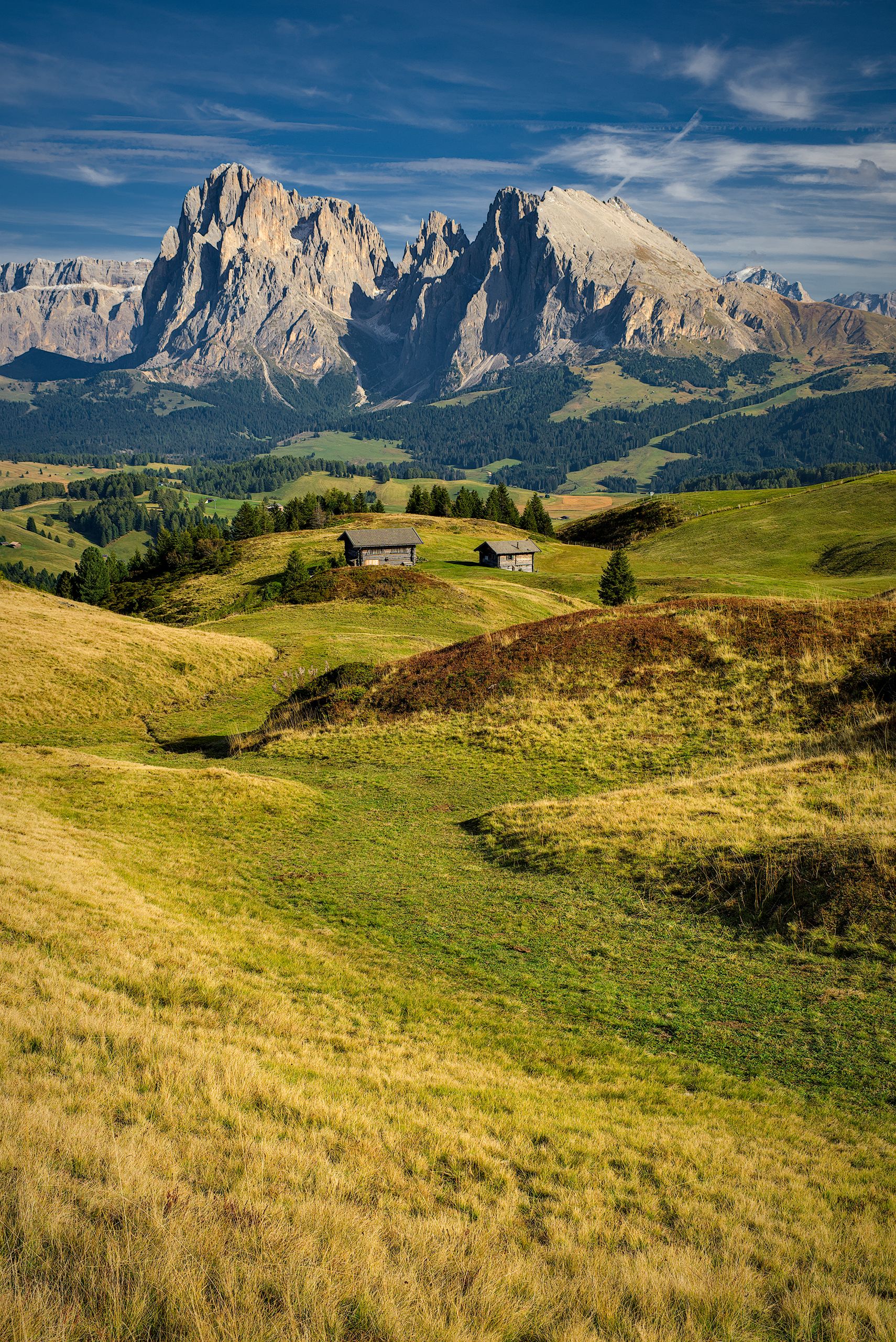 Alpe di Siusi (Seiser Alm)