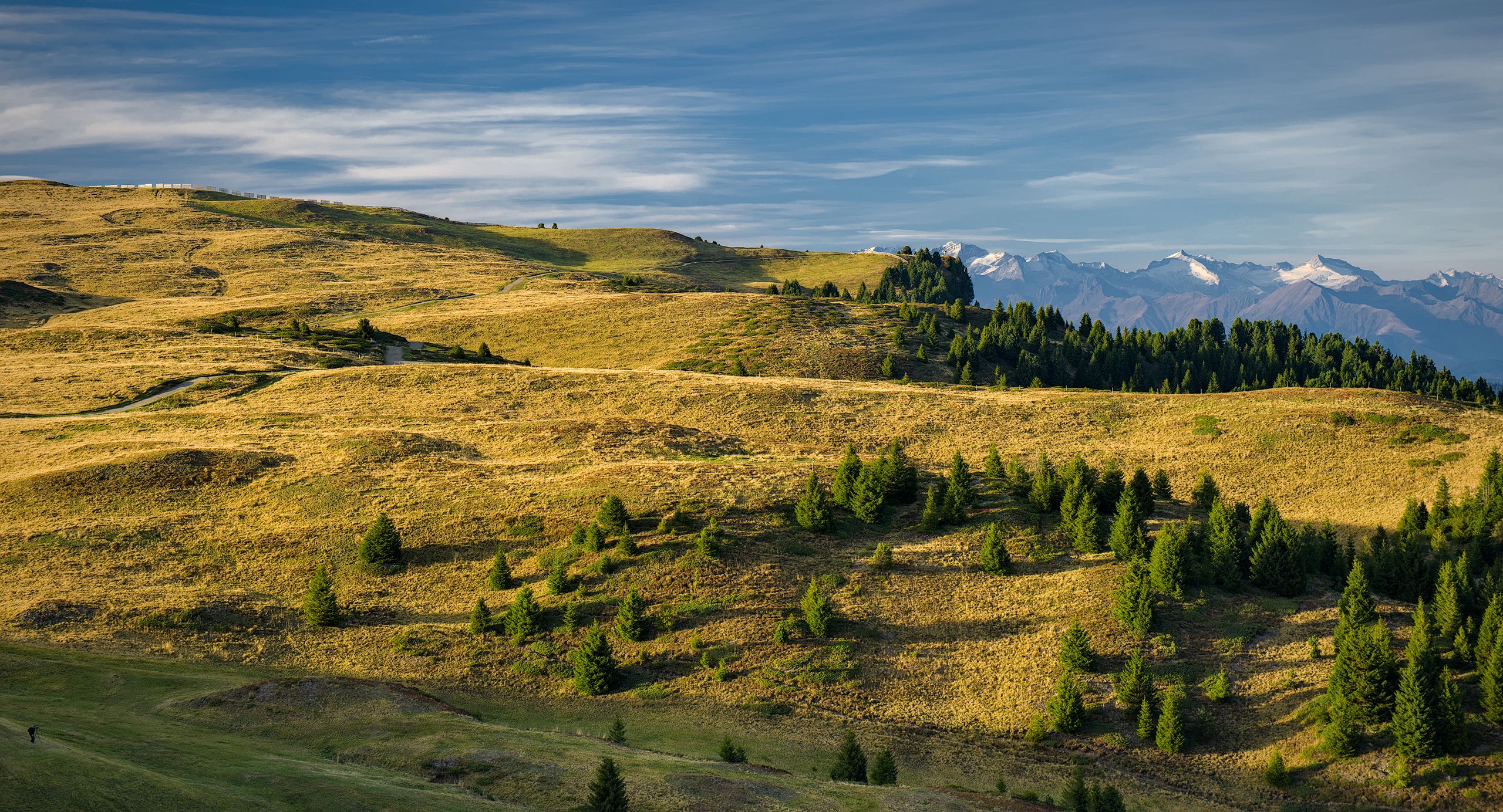 Alpe di Siusi (Seiser Alm)