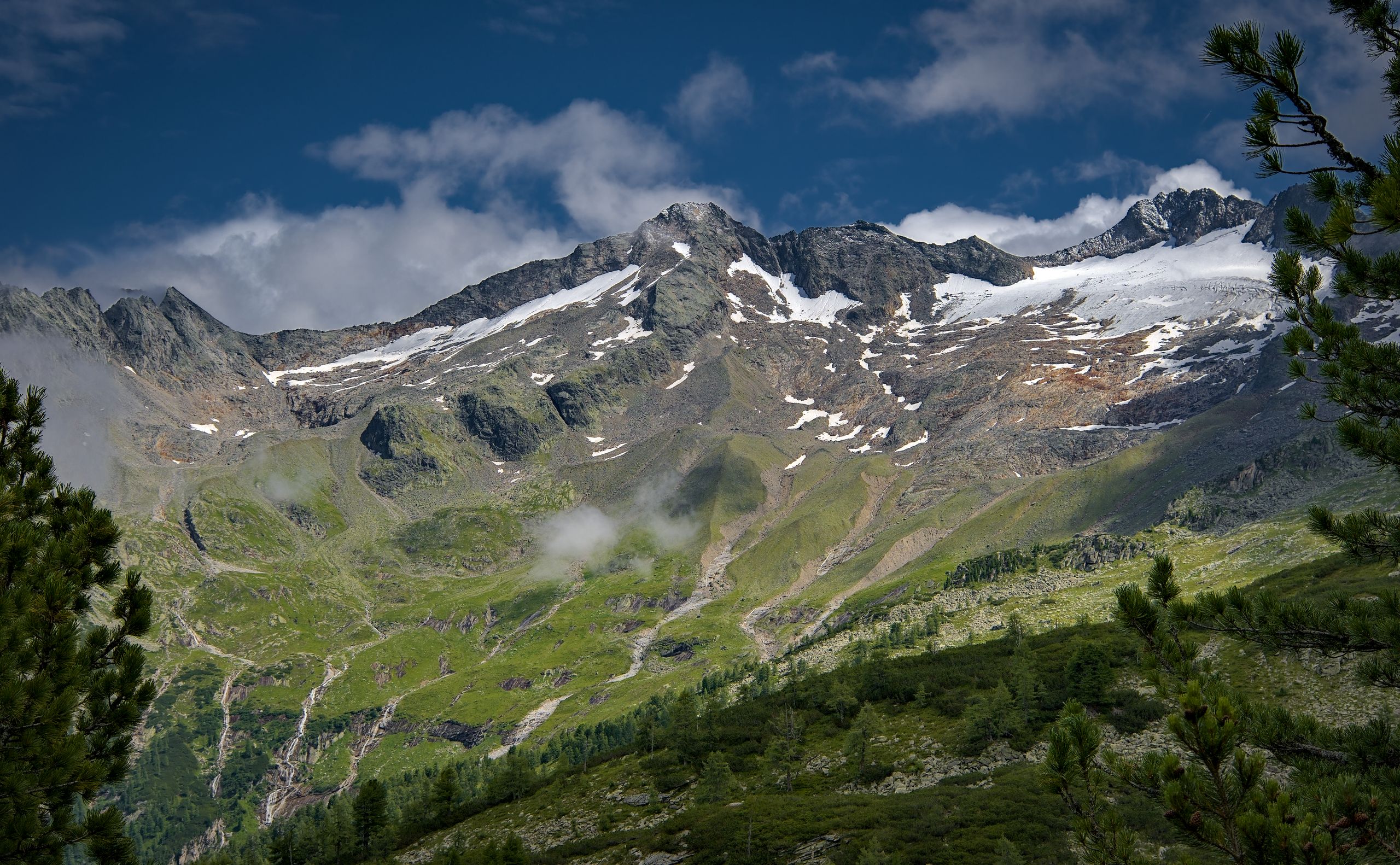 Tischlerkar / Tischlerkarkopf