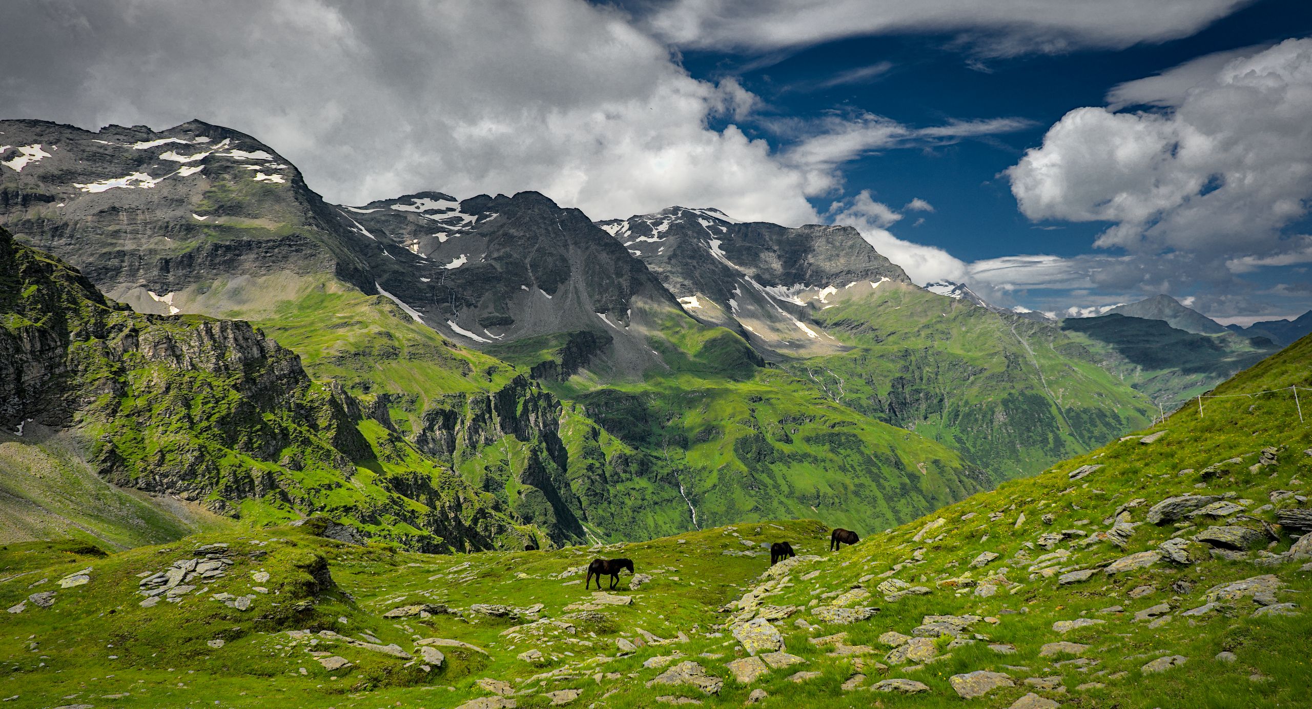 Murauerköpfe / Schareck
