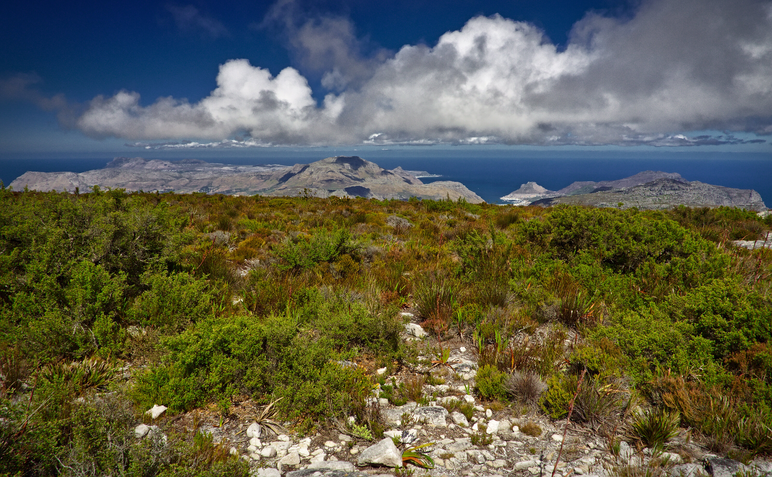 Table Mountain