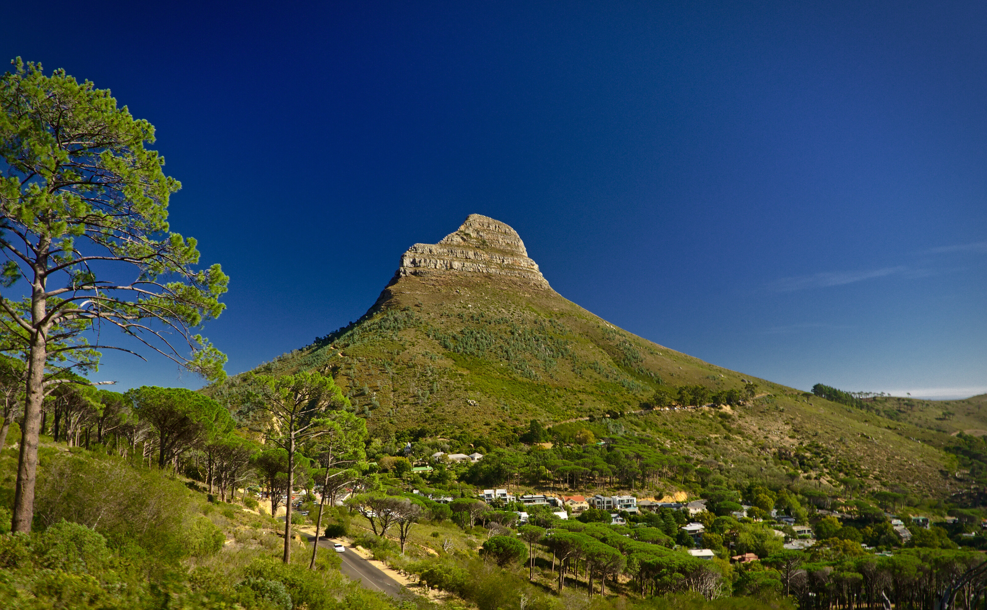 Lion's Head