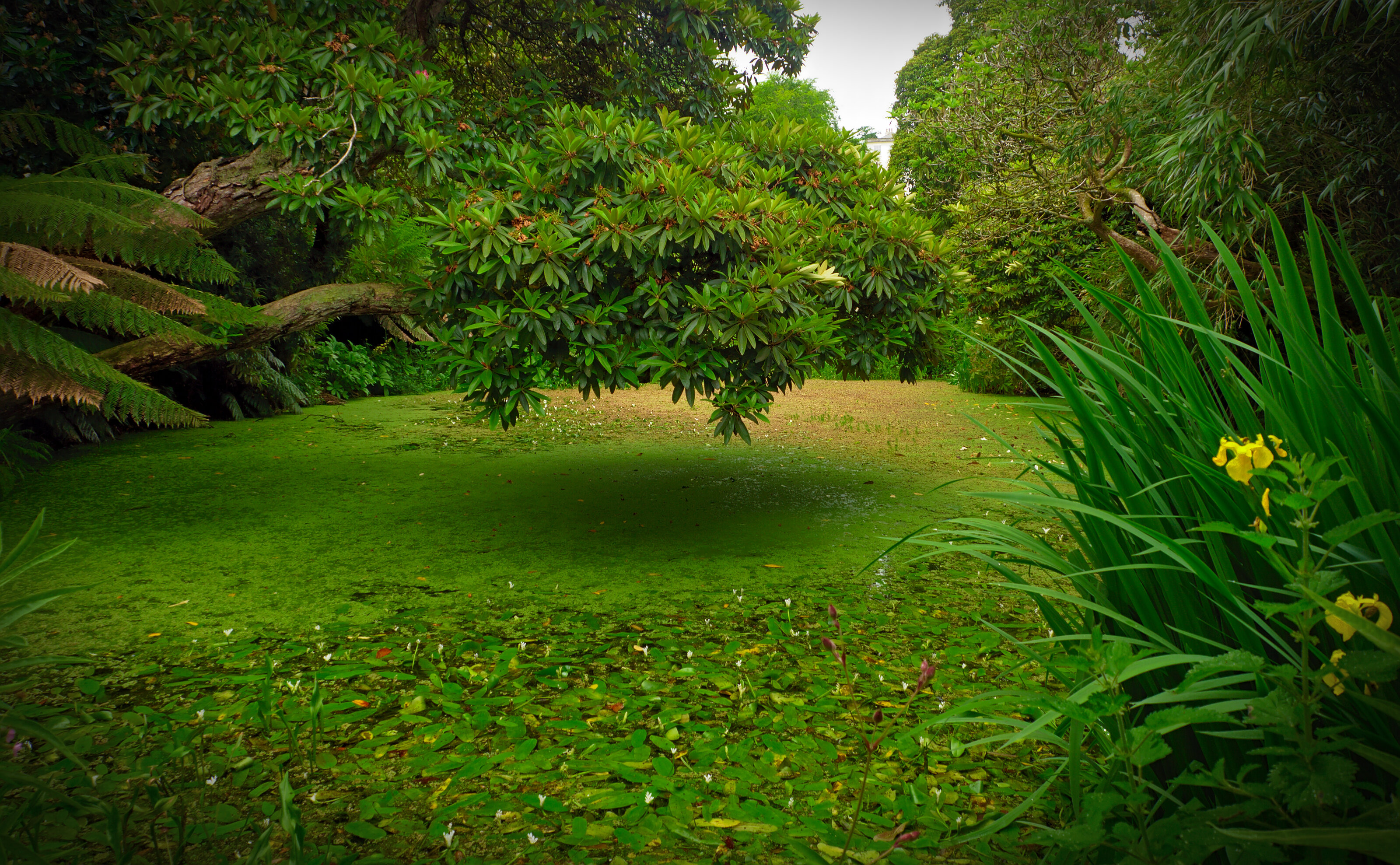 The Lost Gardens of Heligan