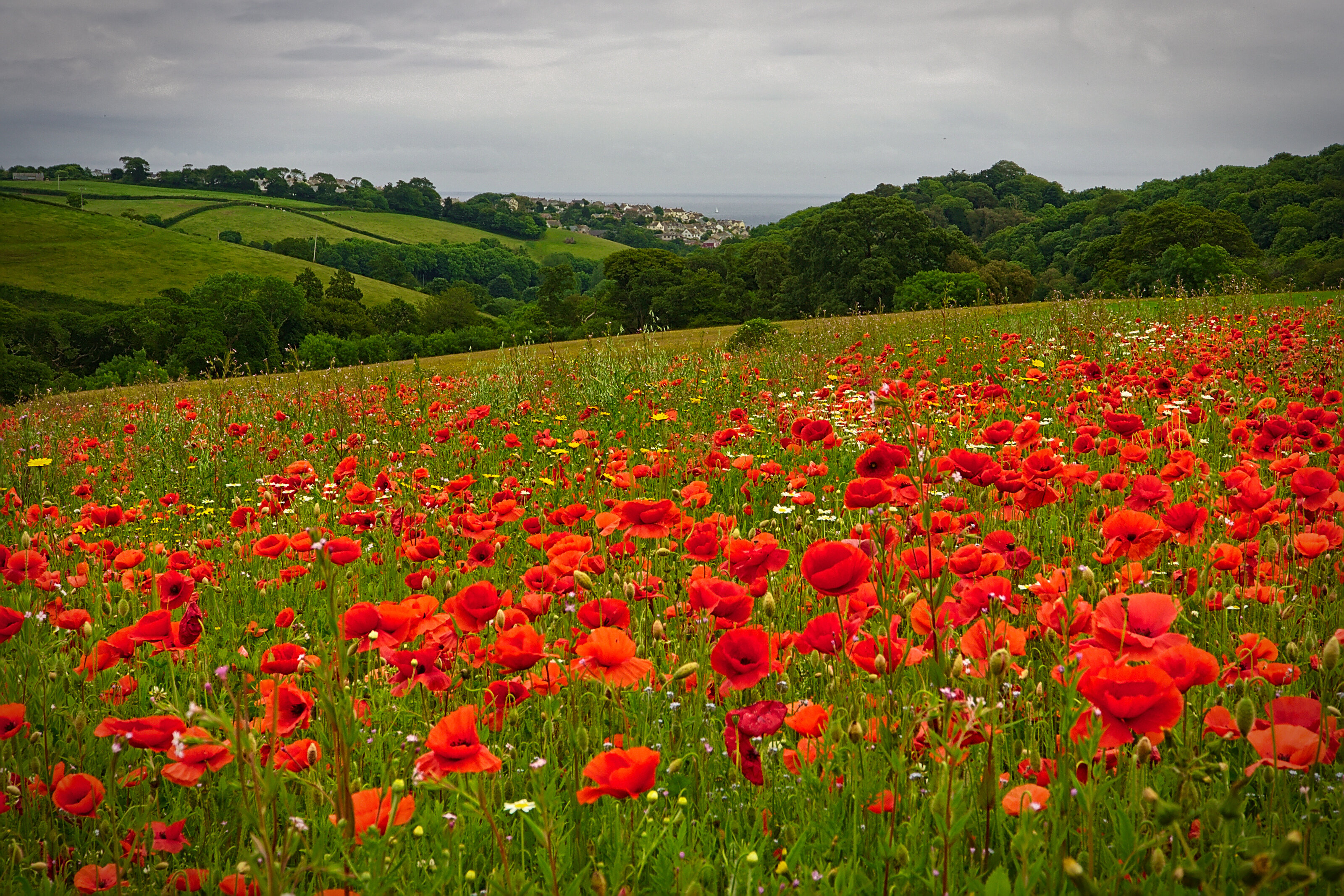 The Lost Gardens of Heligan