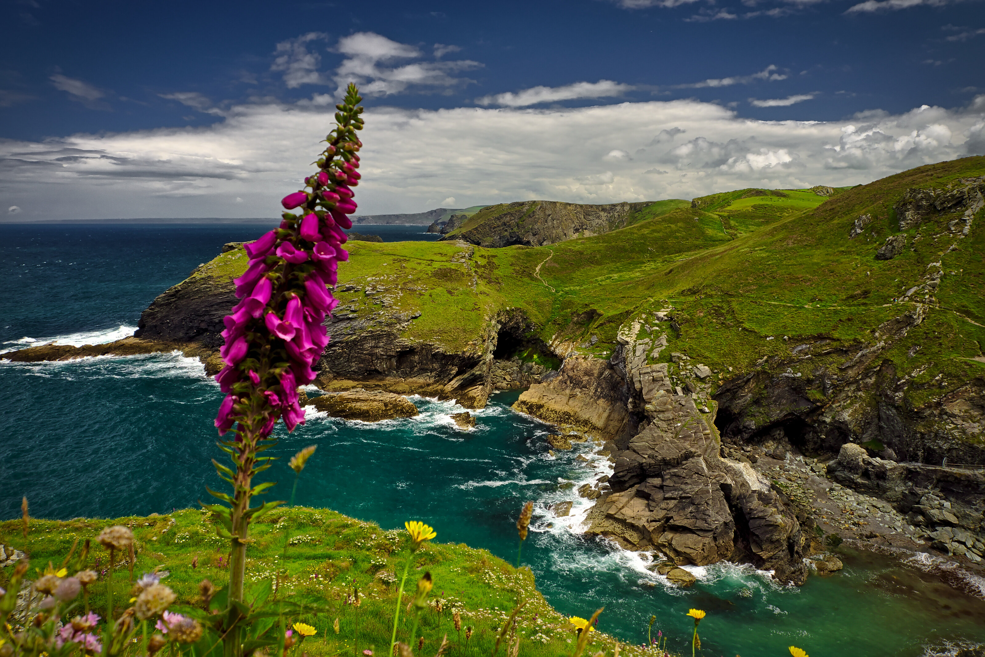 Tintagel Haven