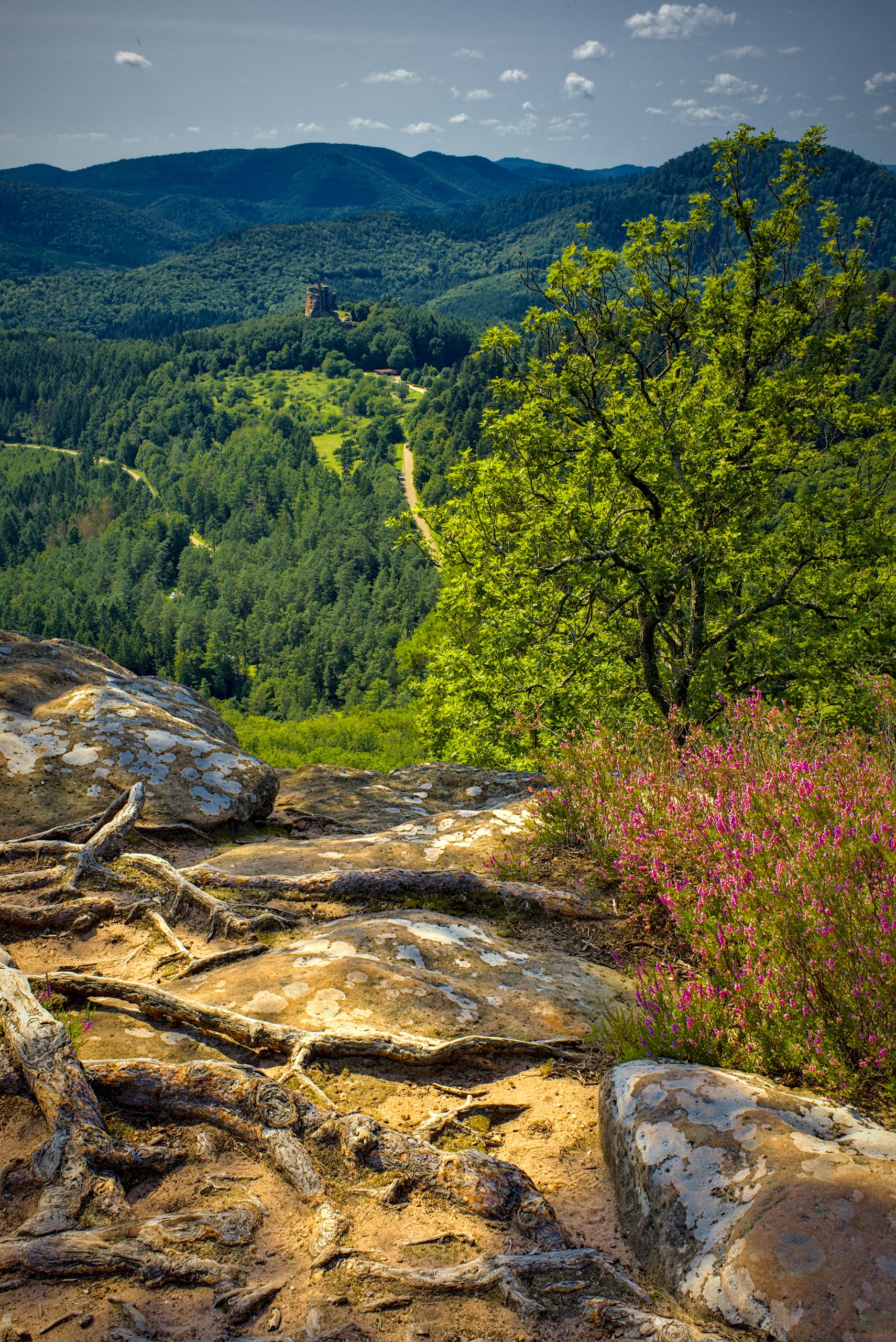 View of Château de Fleckenstein