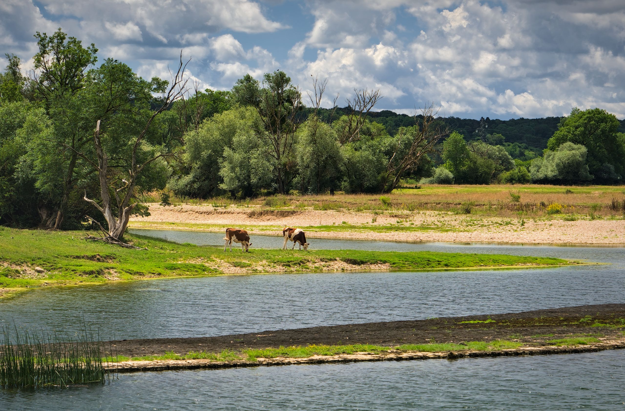 Banks of the River Doubs