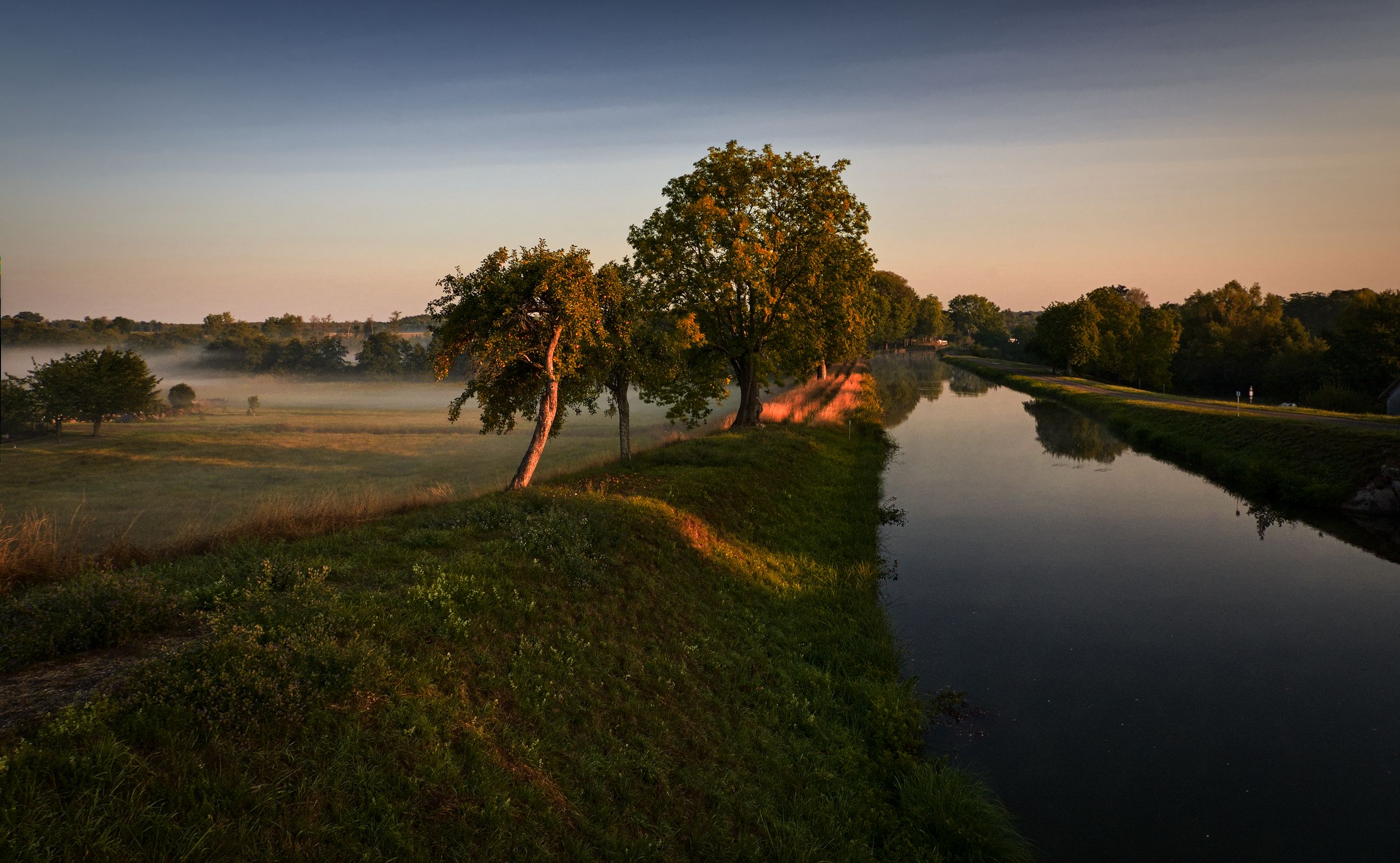 Morning Fog Near 
Mittersheim