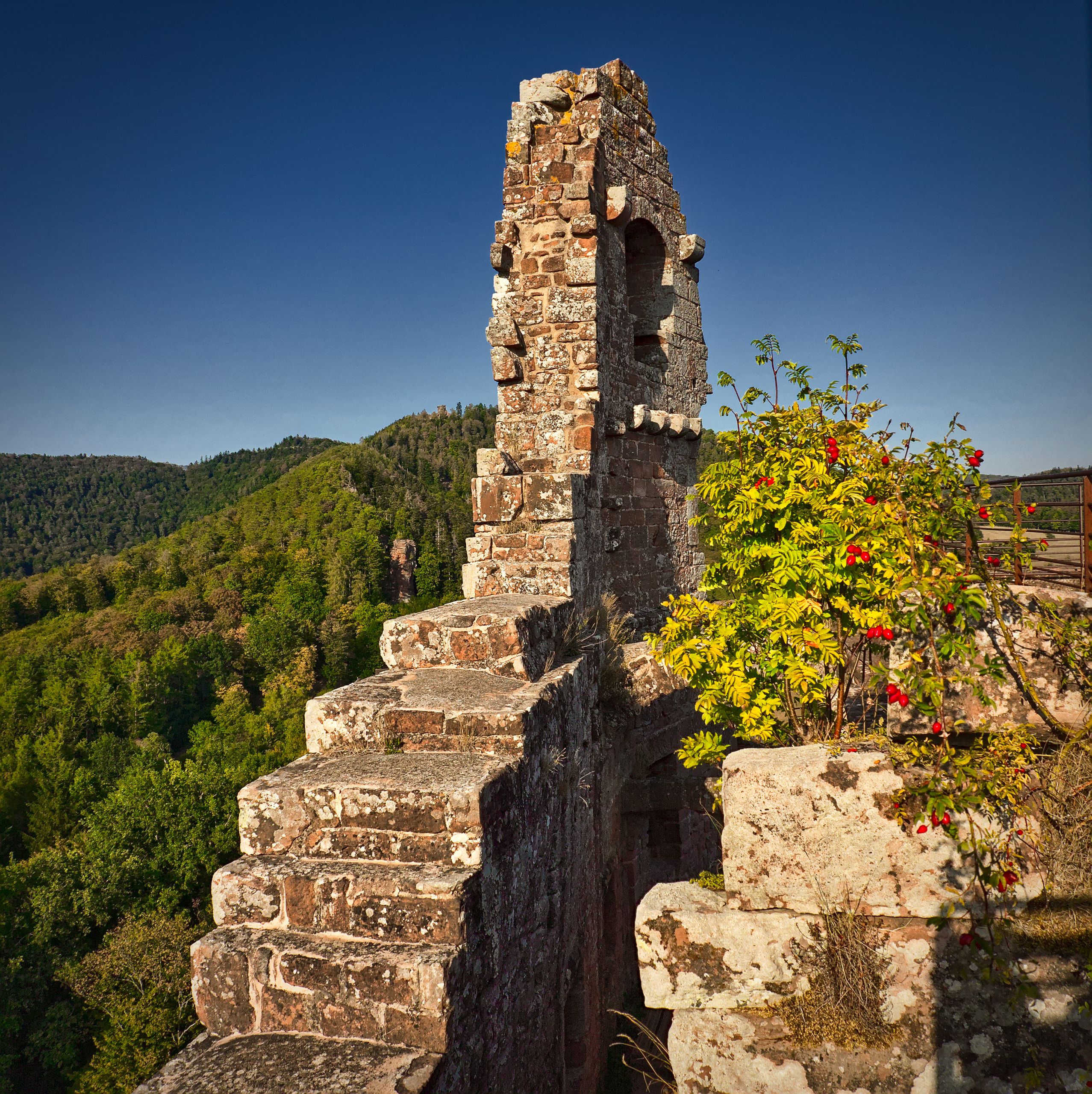 Château de Fleckenstein