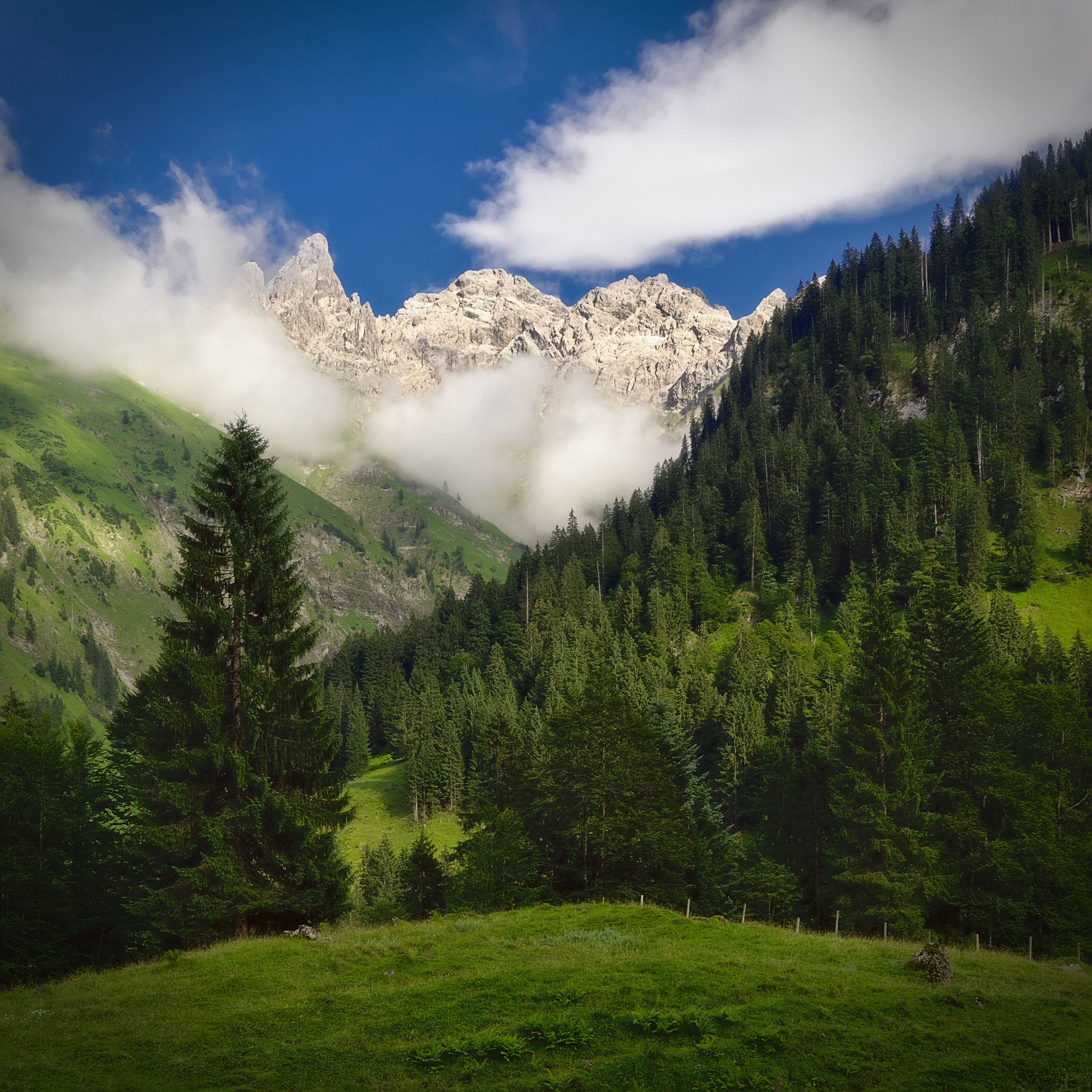 Trettachspitze/Mädelegabel