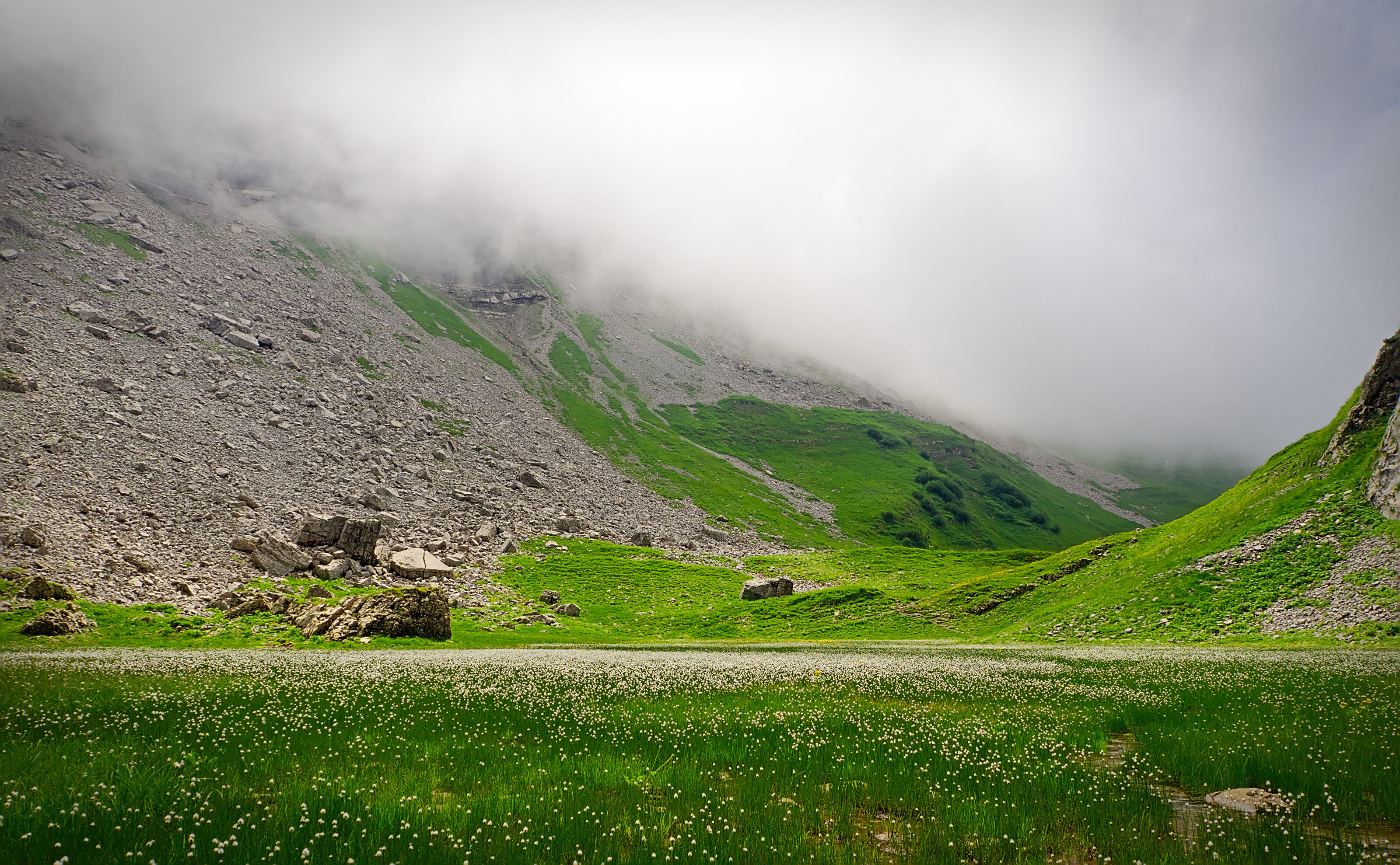 Between Windecksattel and Torkopfscharte