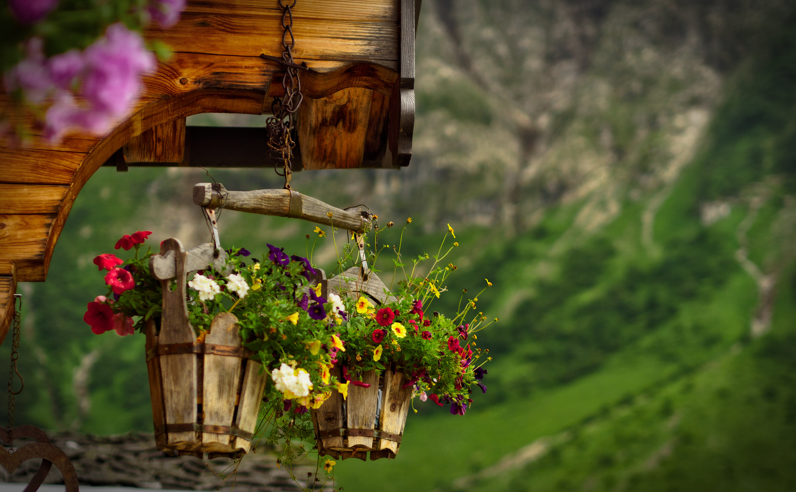 Dietersbachalpe Detail