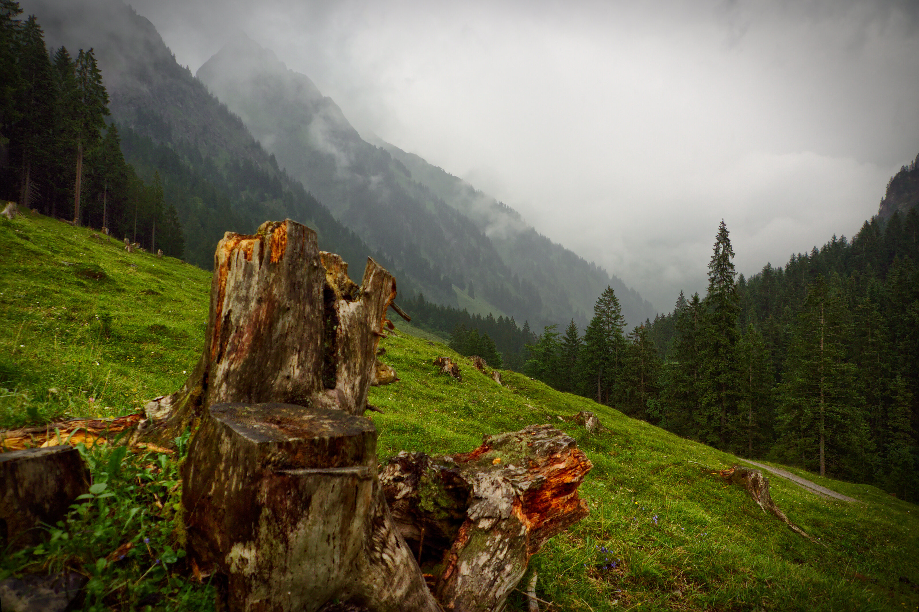Rainy Dietersbach Valley