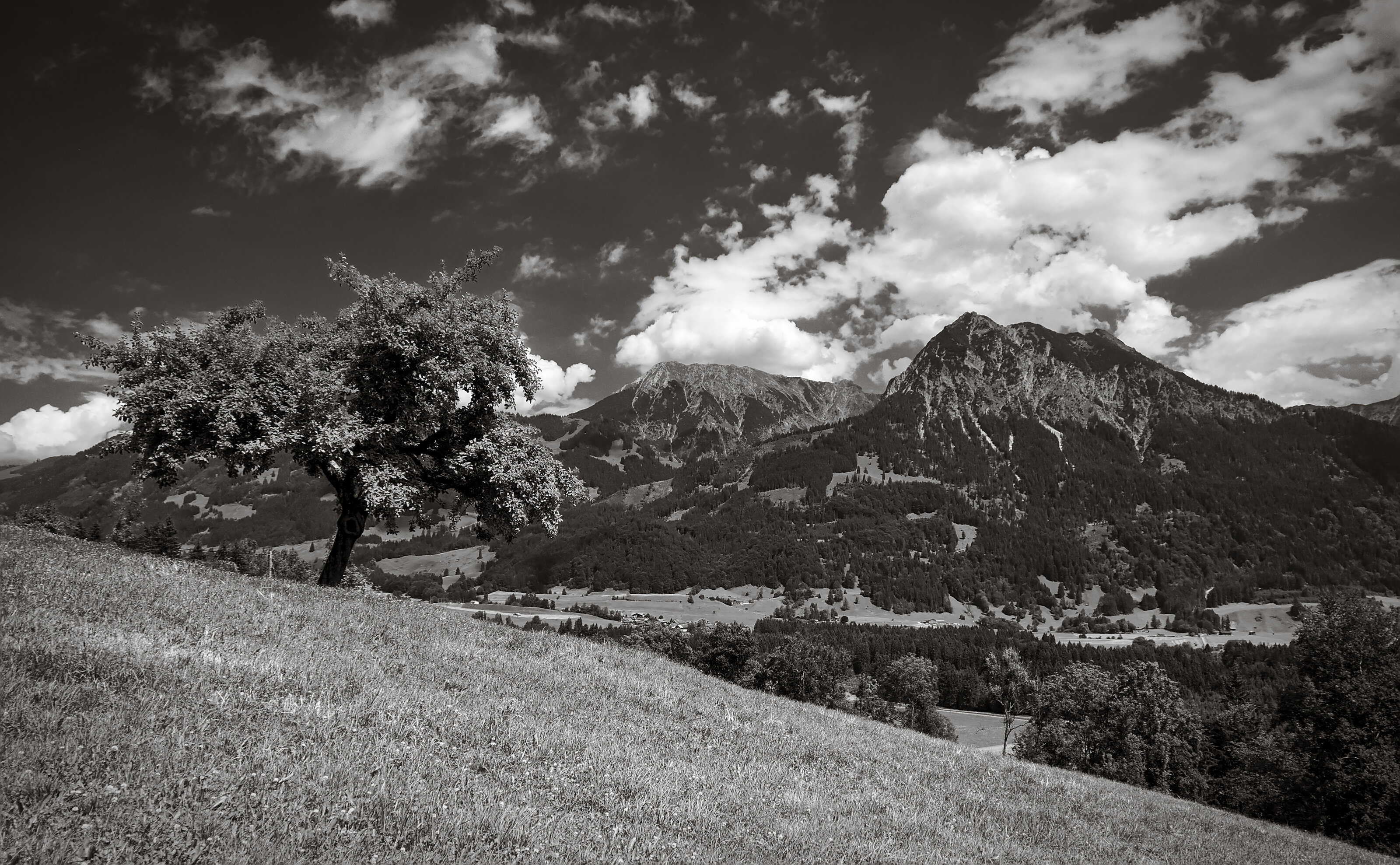 Rubihorn and Entschenkopf