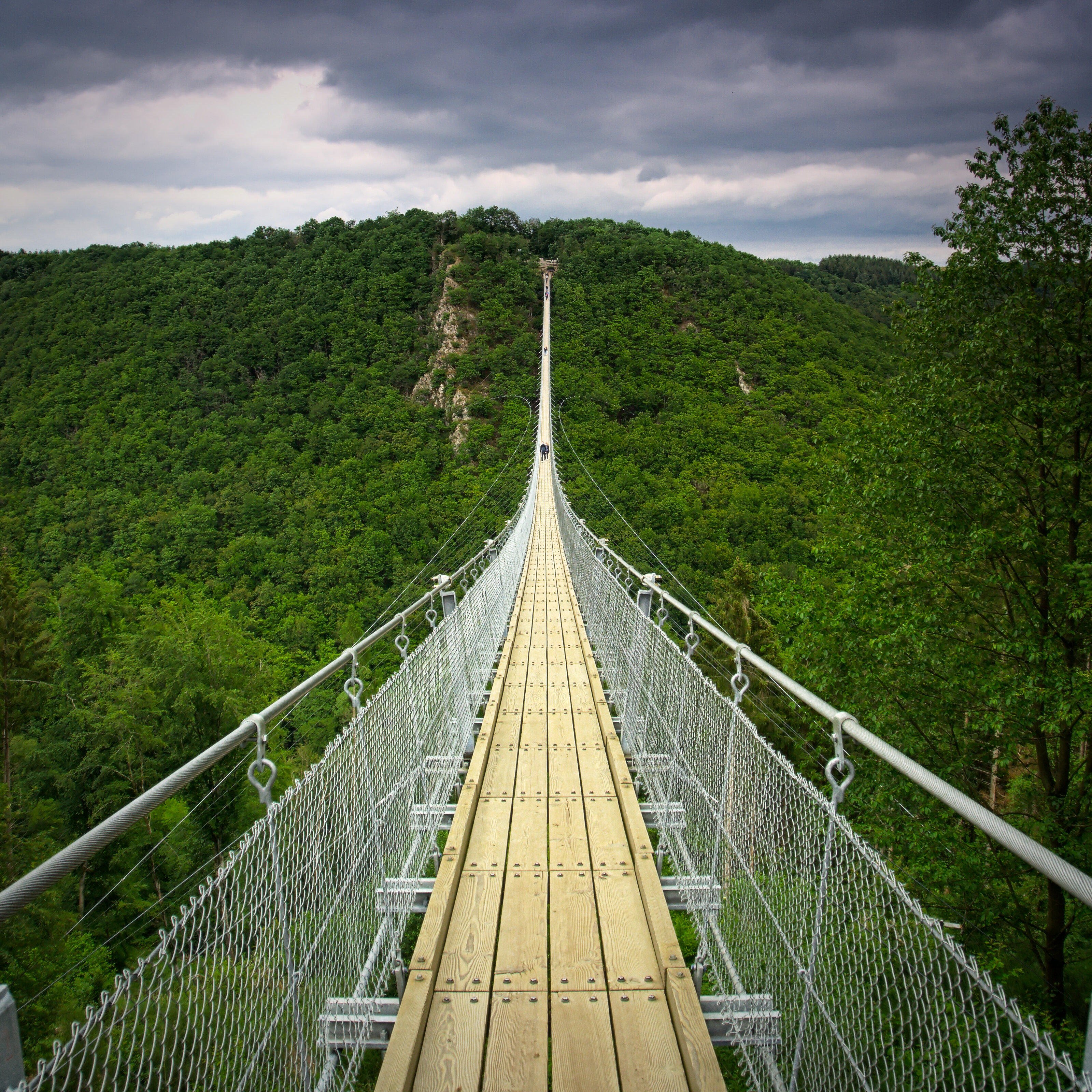 Geierlay Suspension Bridge