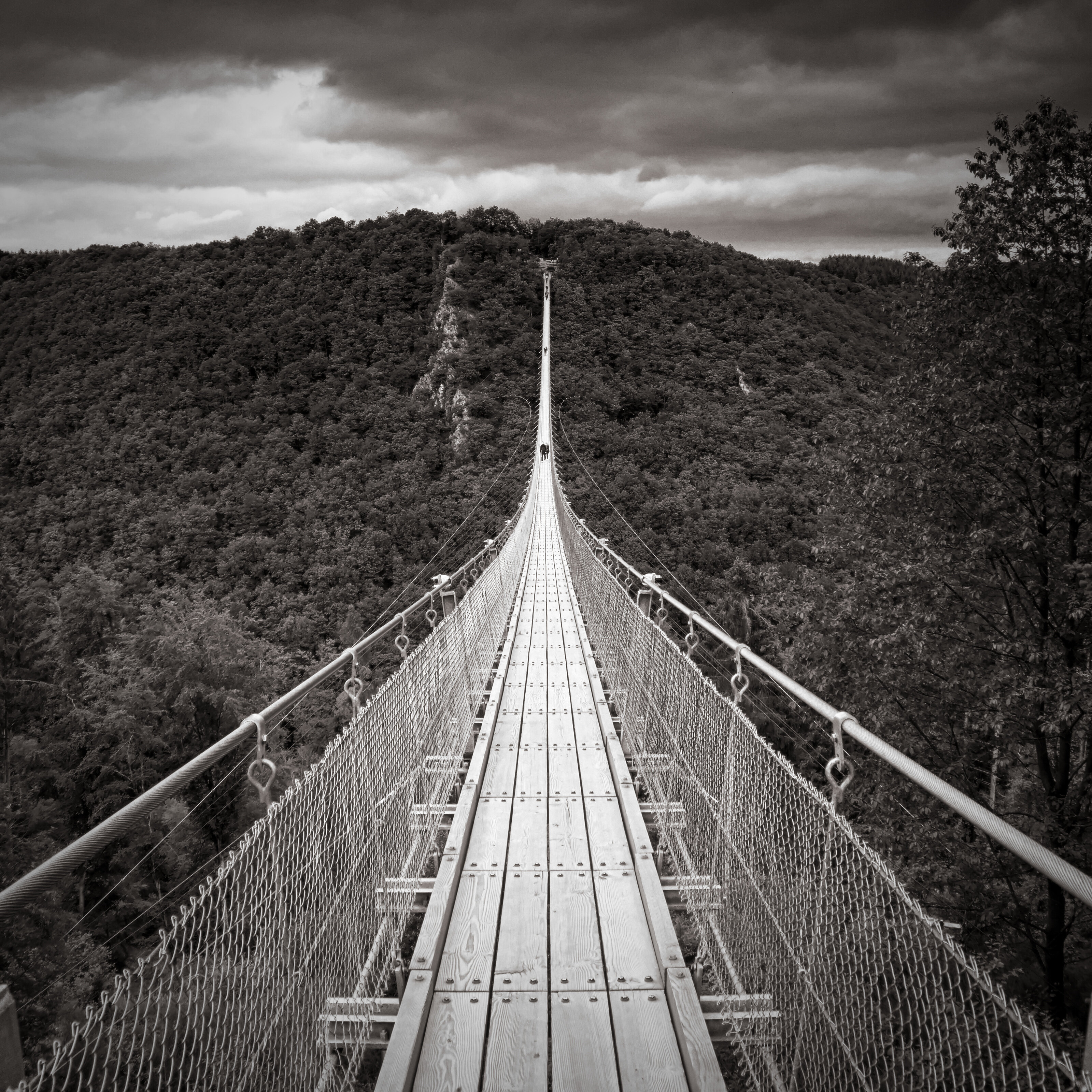 Geierlay Suspension Bridge