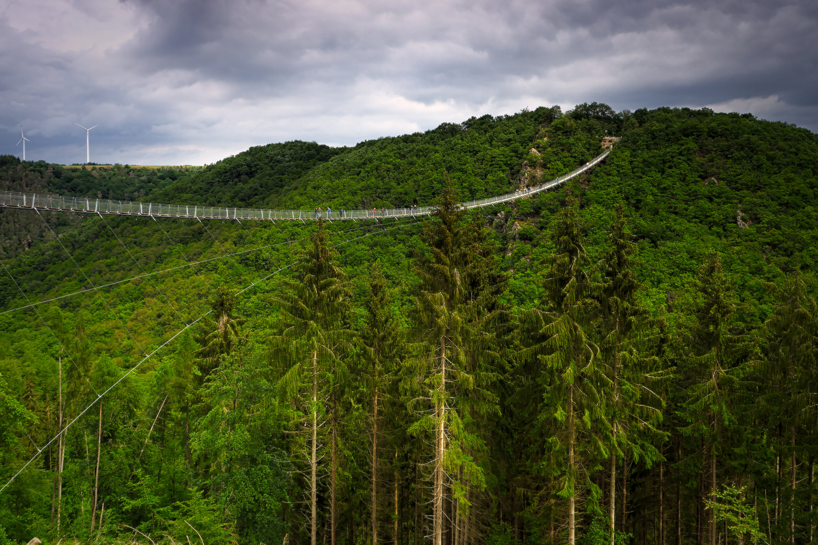 Geierlay Suspension Bridge