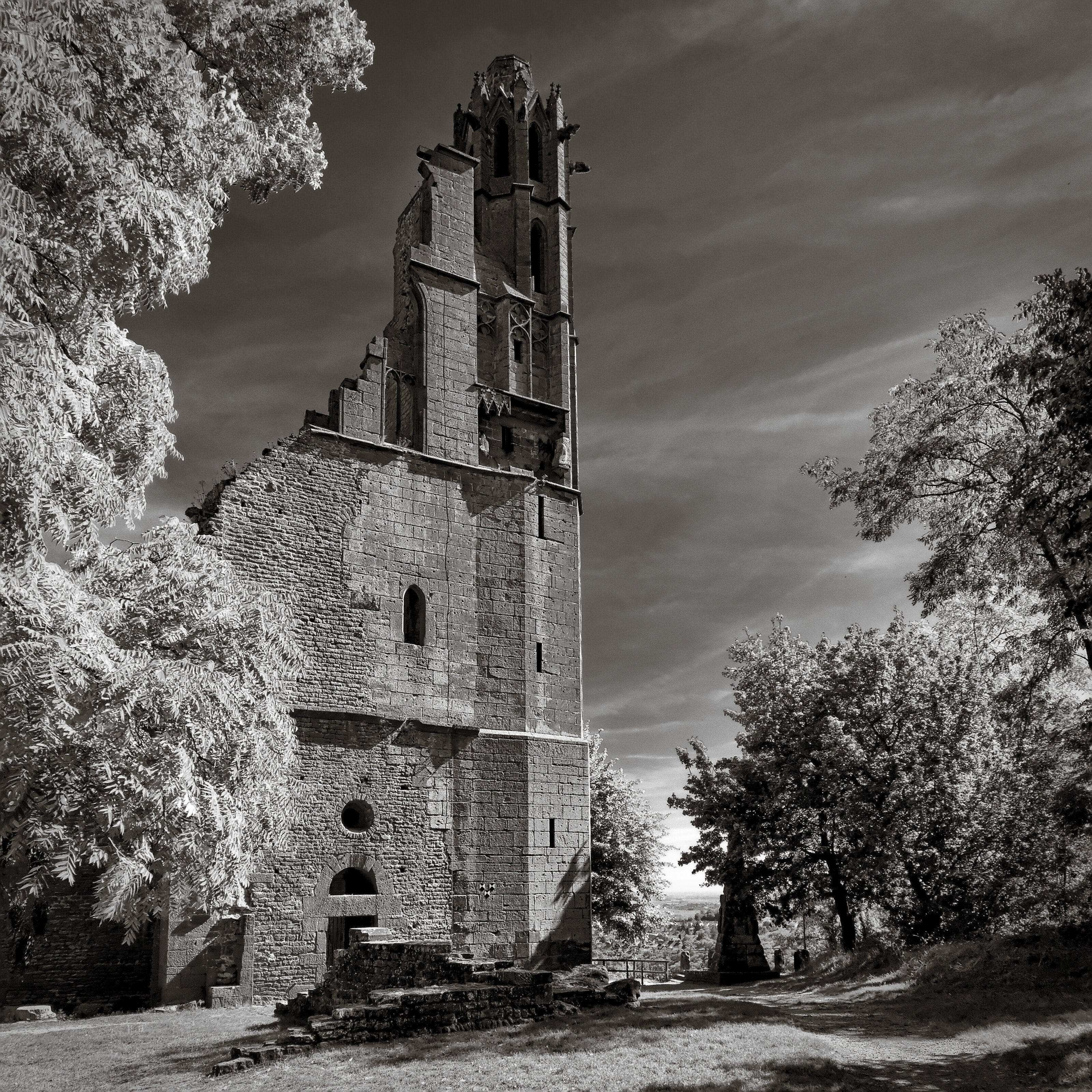 Limburg Abbey Ruins