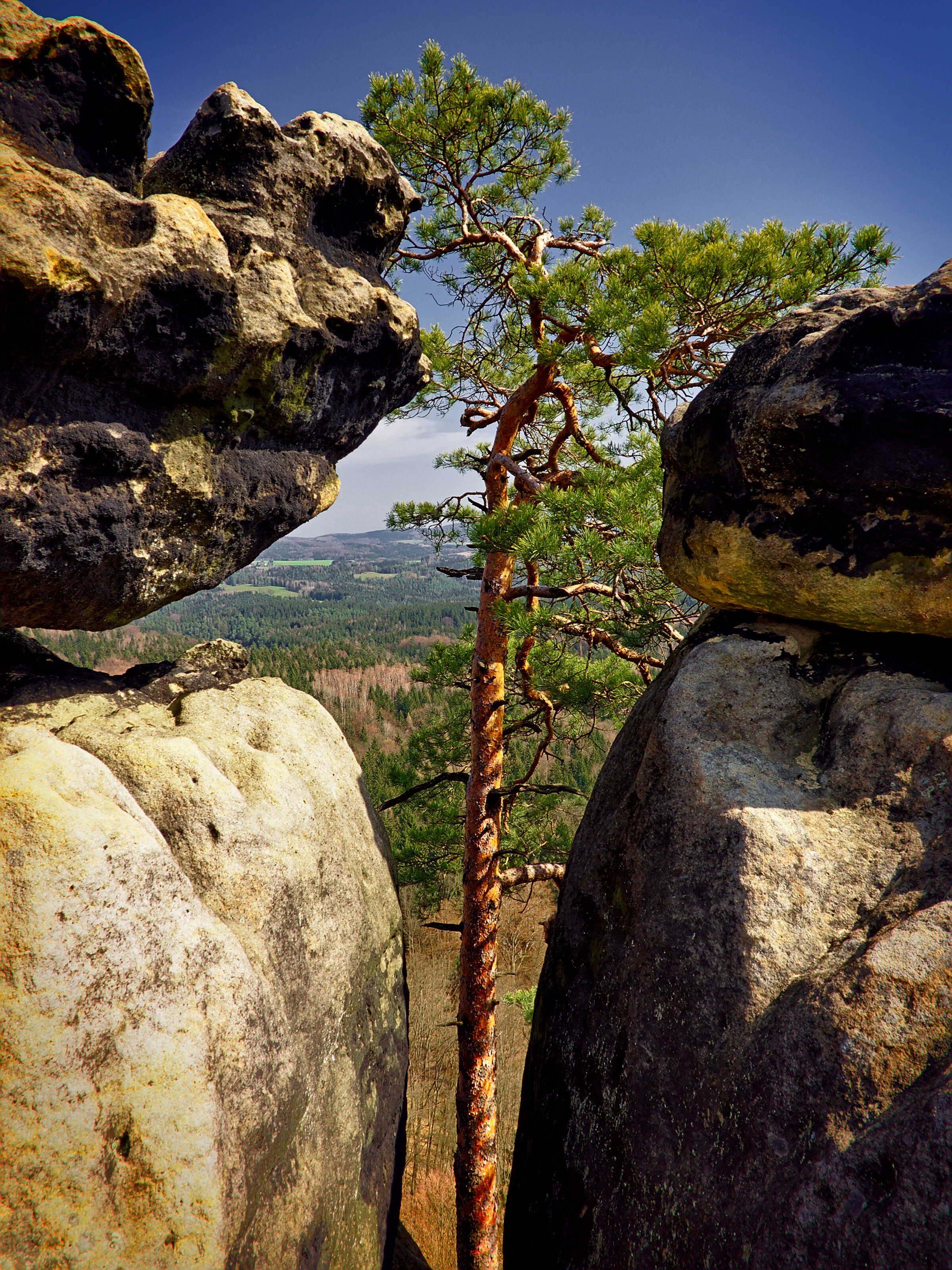 Schrammsteine/Gratweg