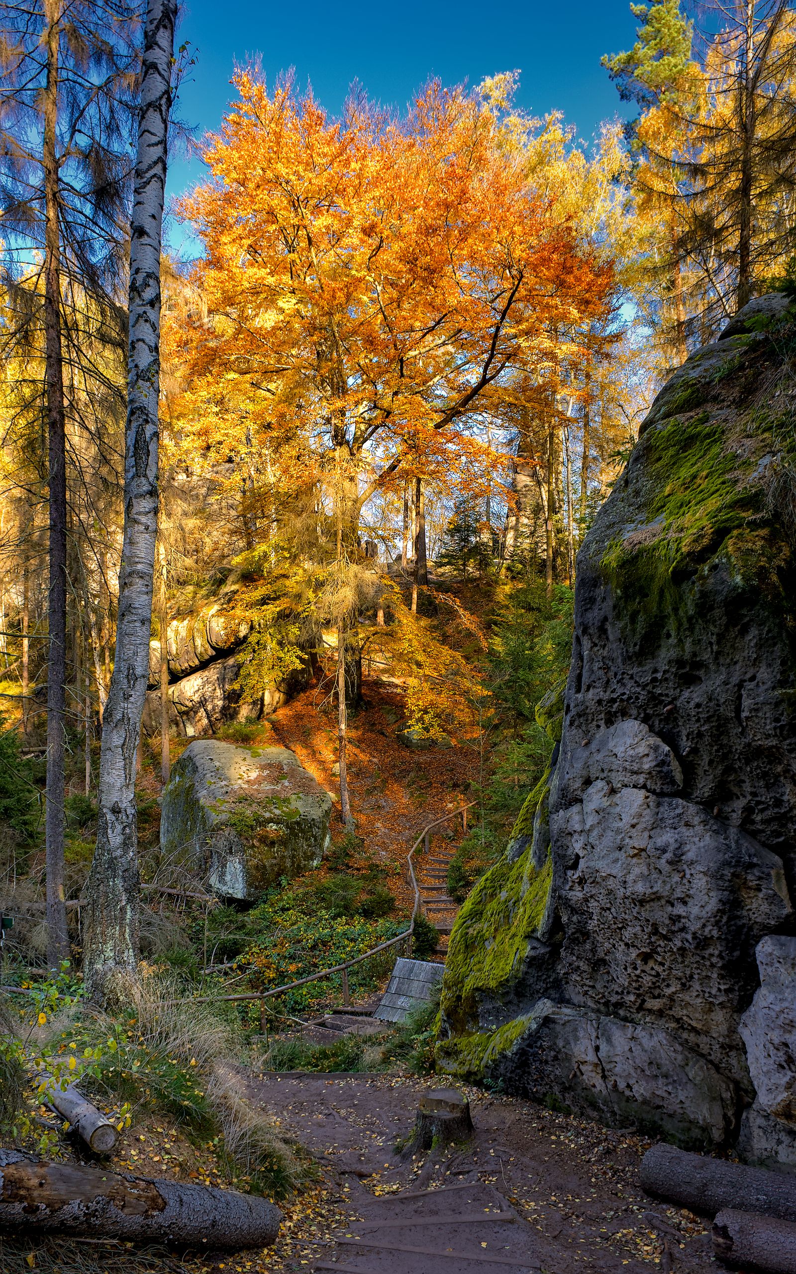 Ascent to the Frienstein