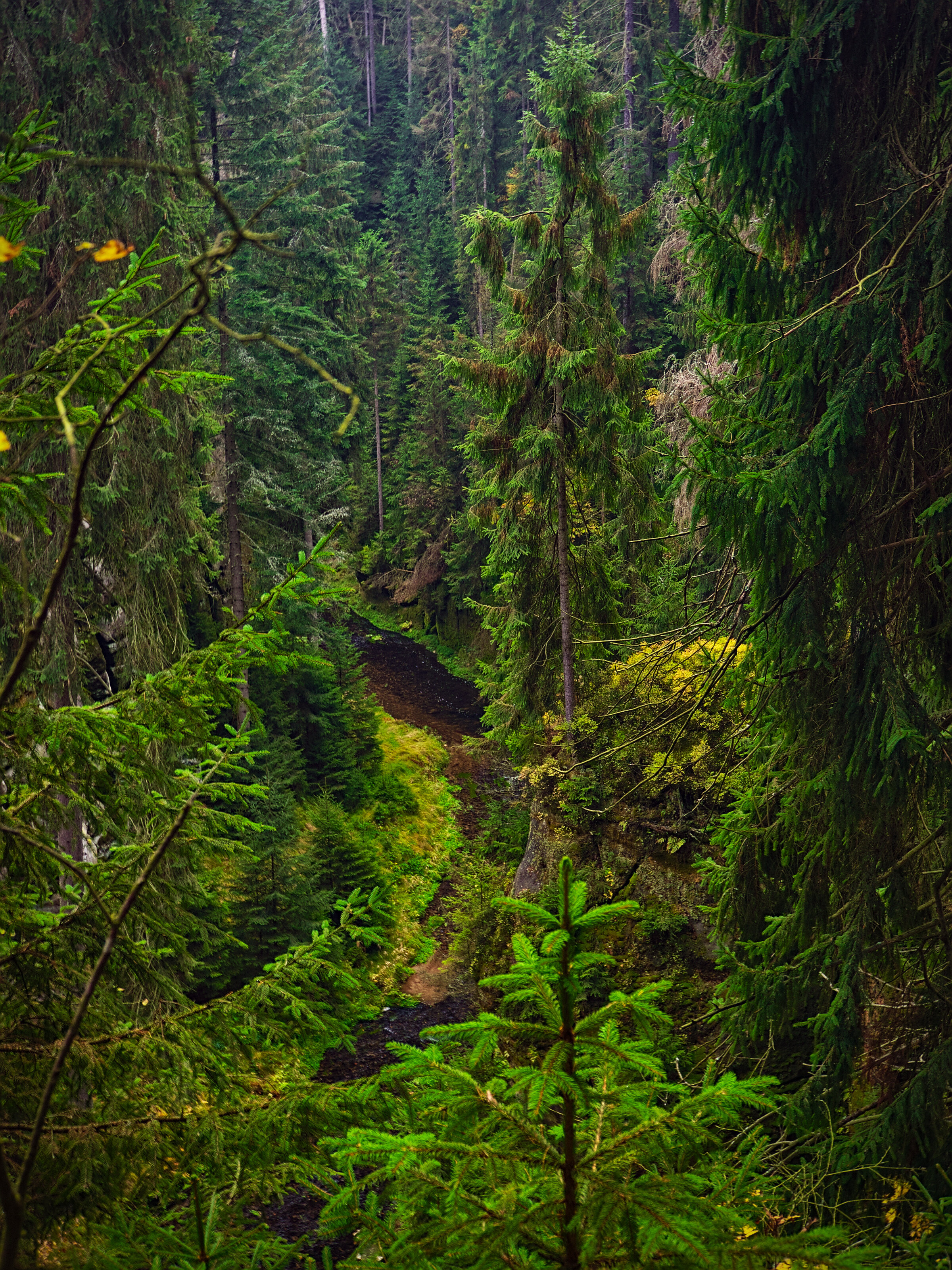 Upper Kirnitsch Valley