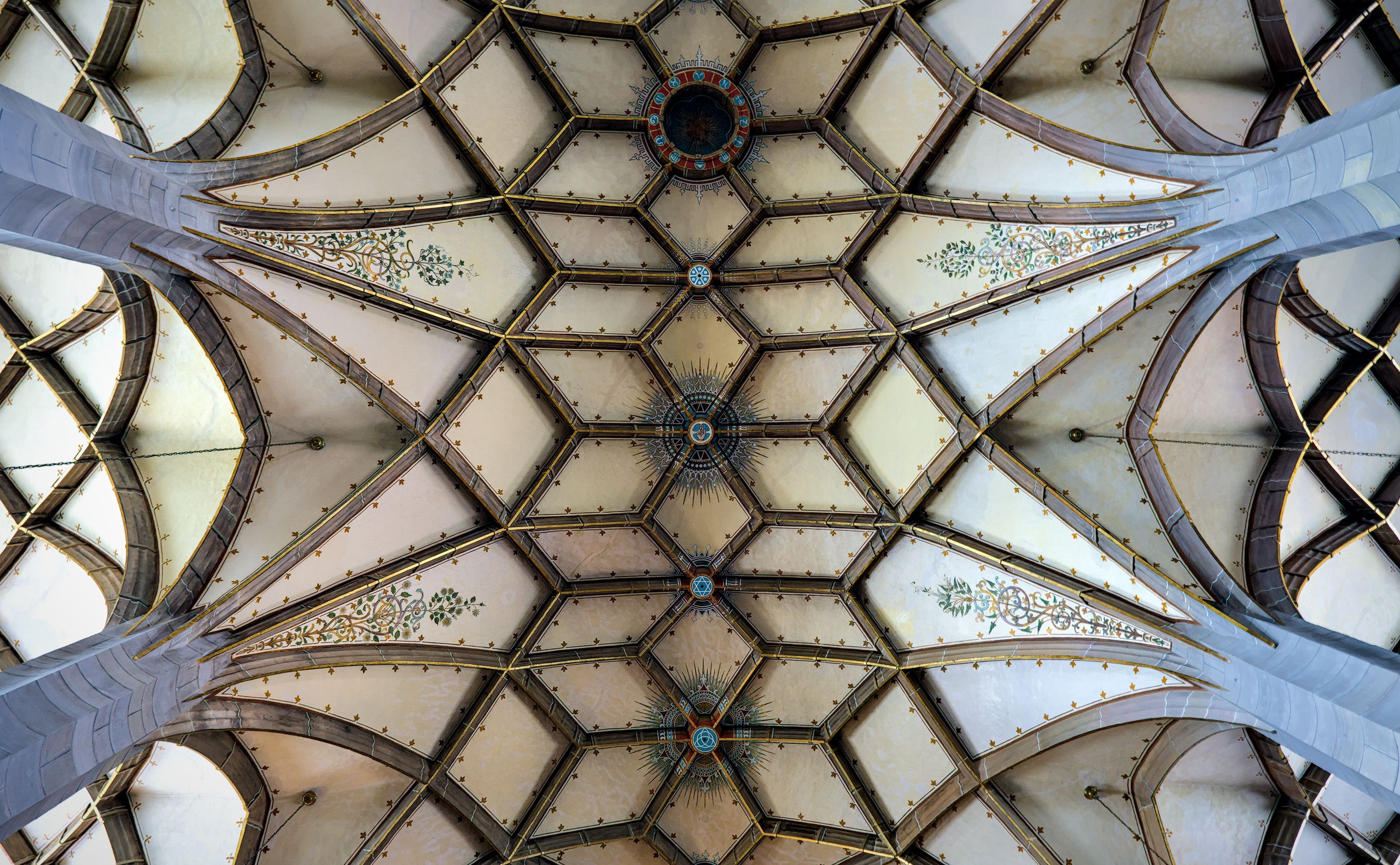 Cathedral of St Mary Ceiling