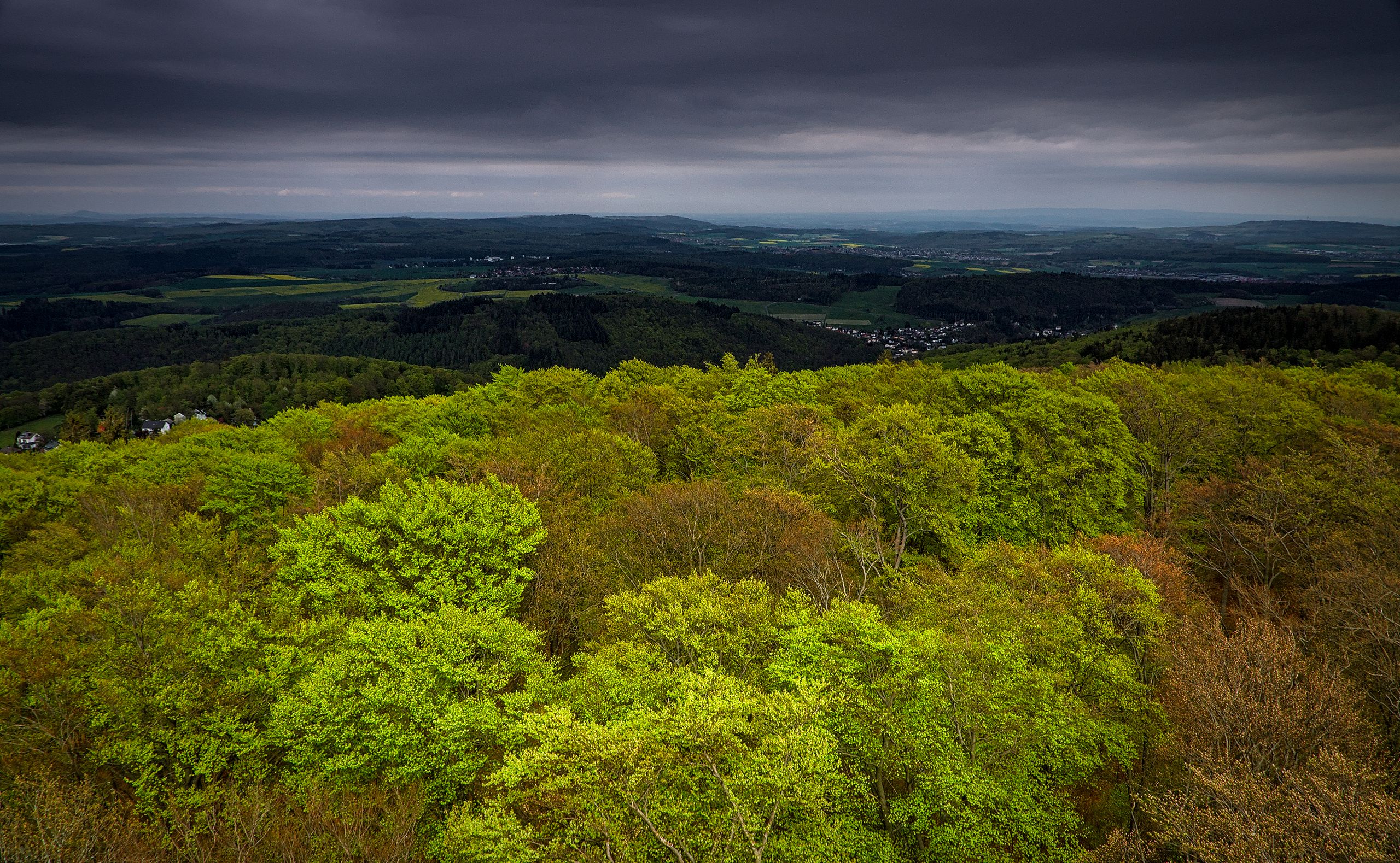 A Sunny Spot on the Springtime Taunus Hills