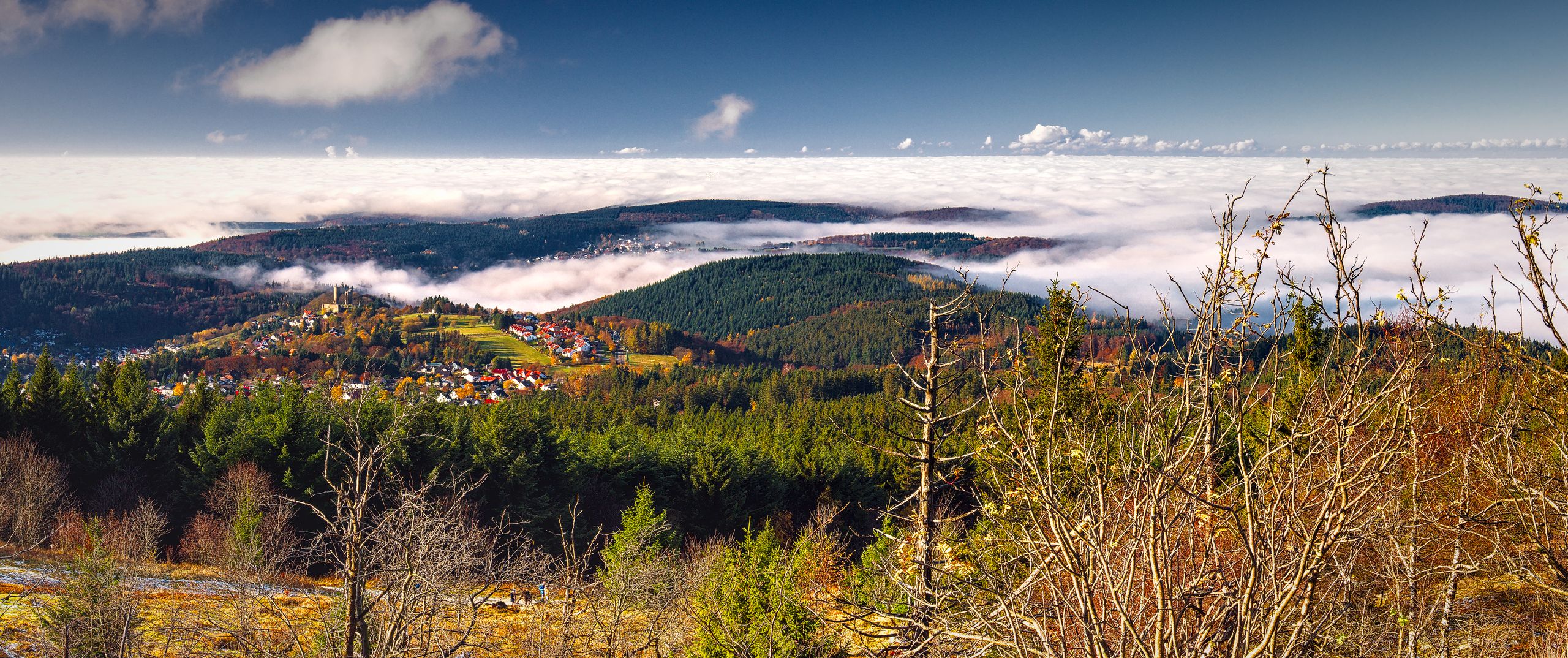 Fog over the Hintertaunus