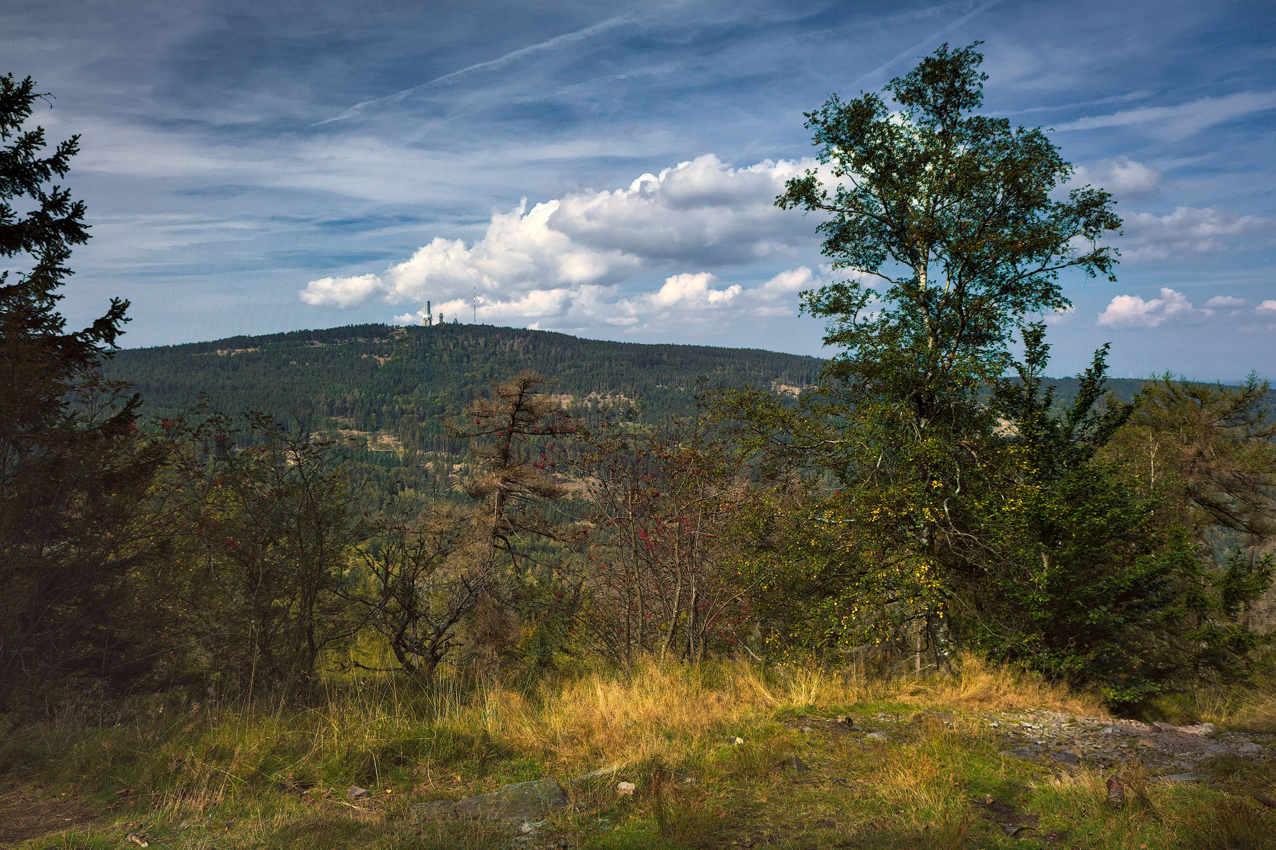 View of Großer Feldberg