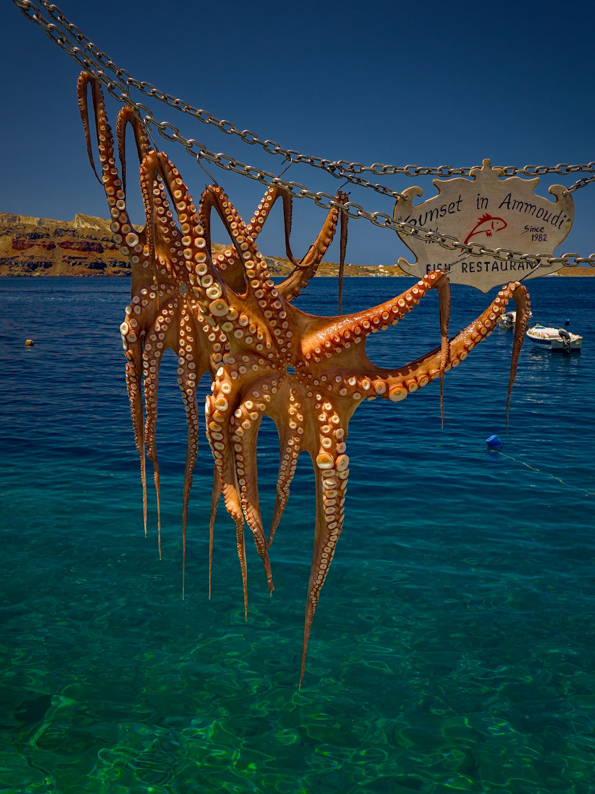 Drying Octopuses, Ammoudi