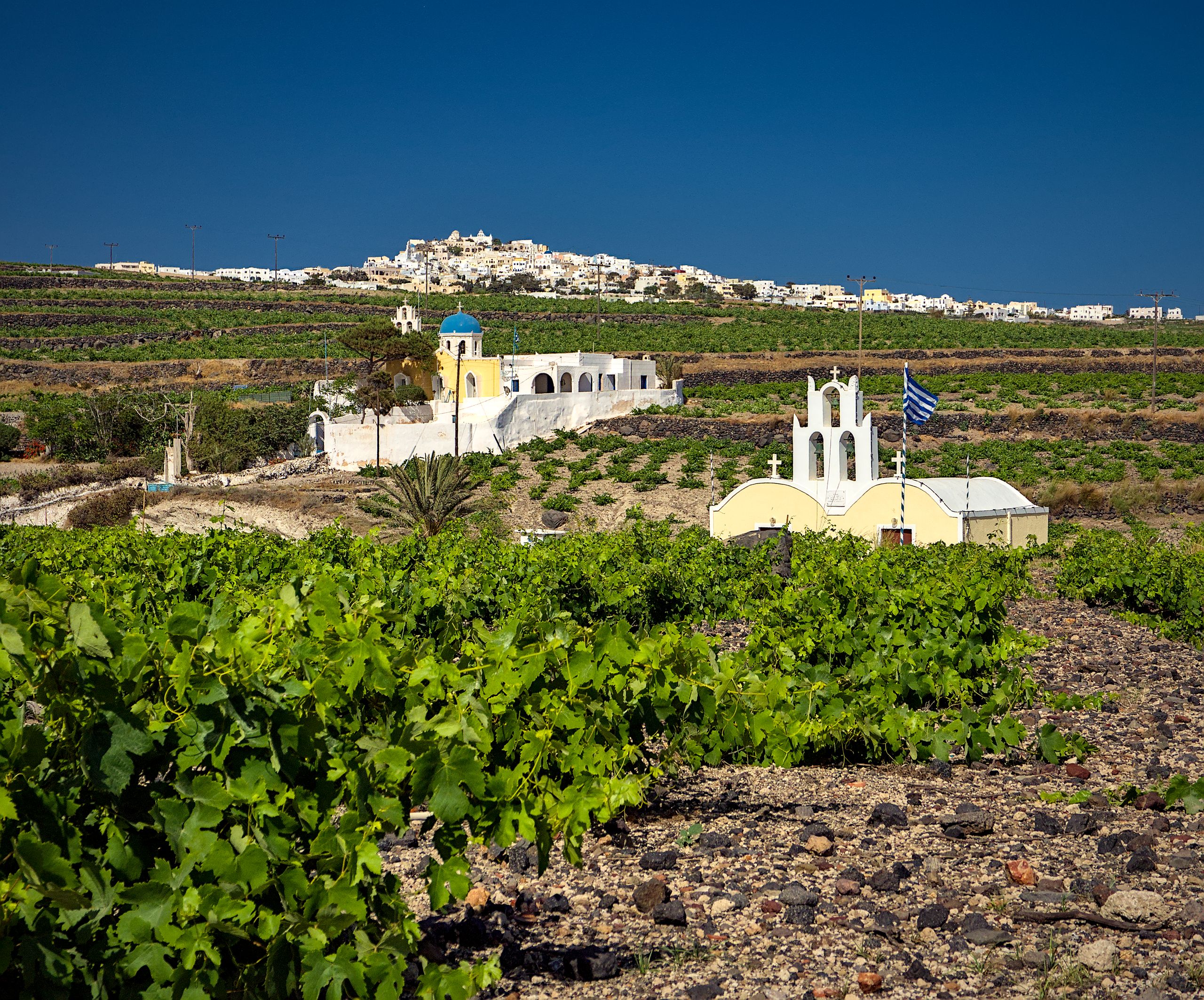 Vineyards, Megalochori