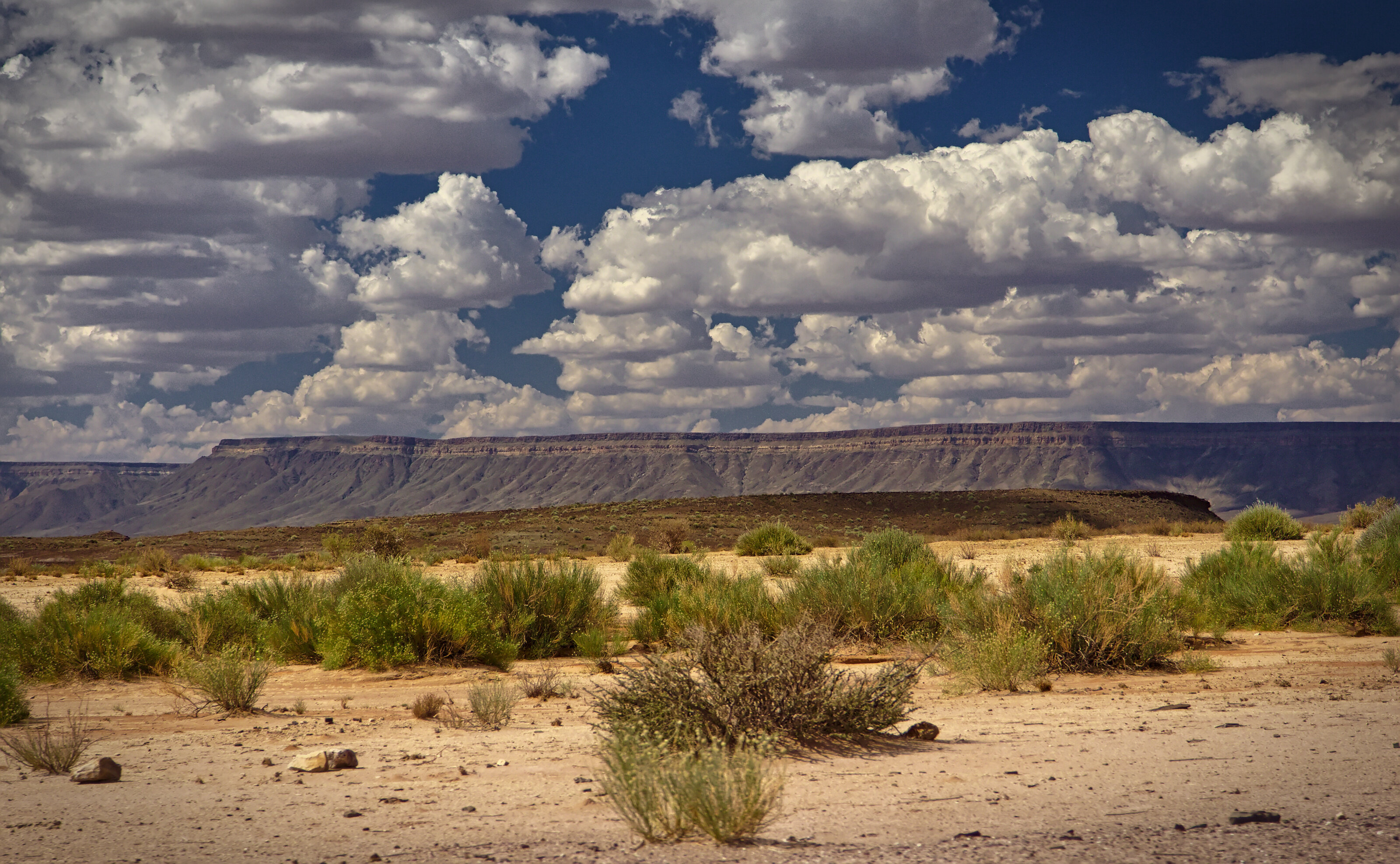 At The Canyon Roadhouse