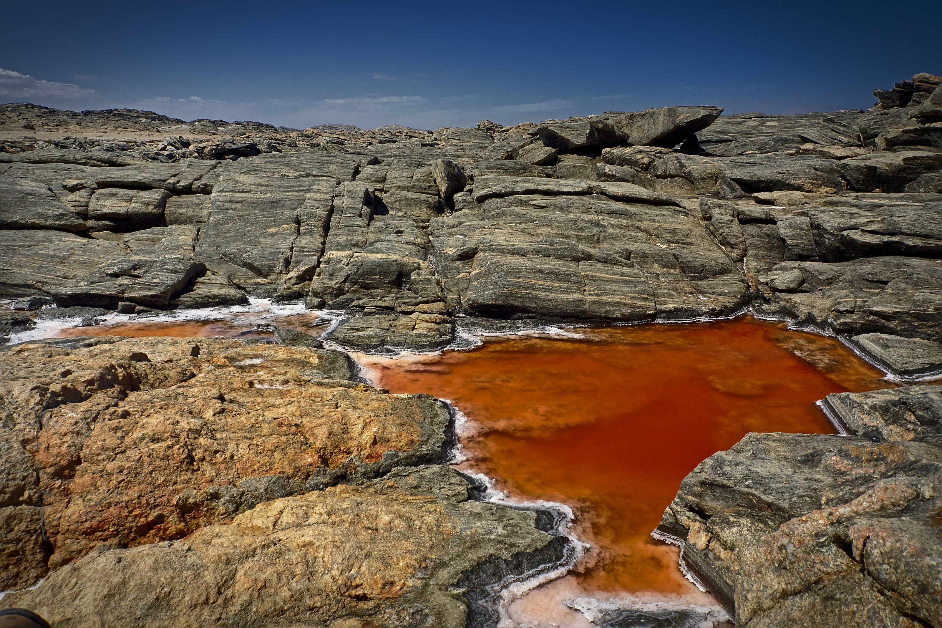 Colorful Saltwater Pool