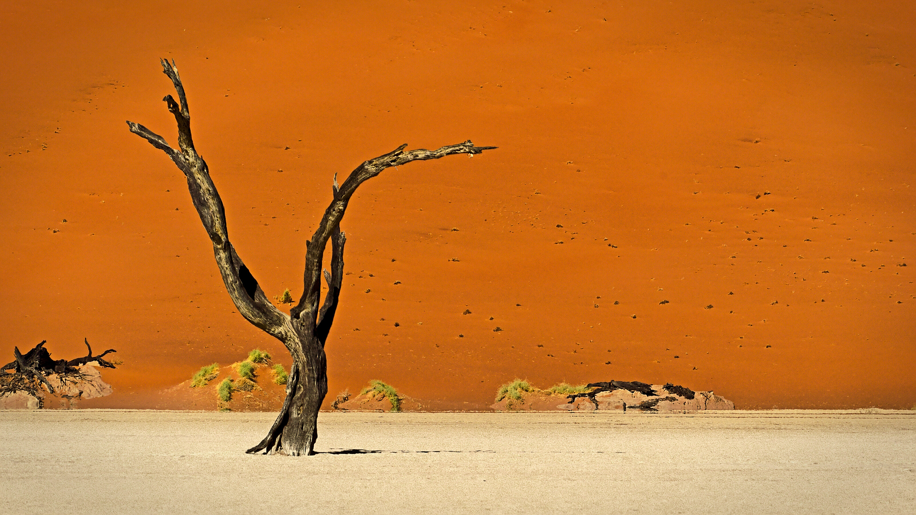 Dead Vlei