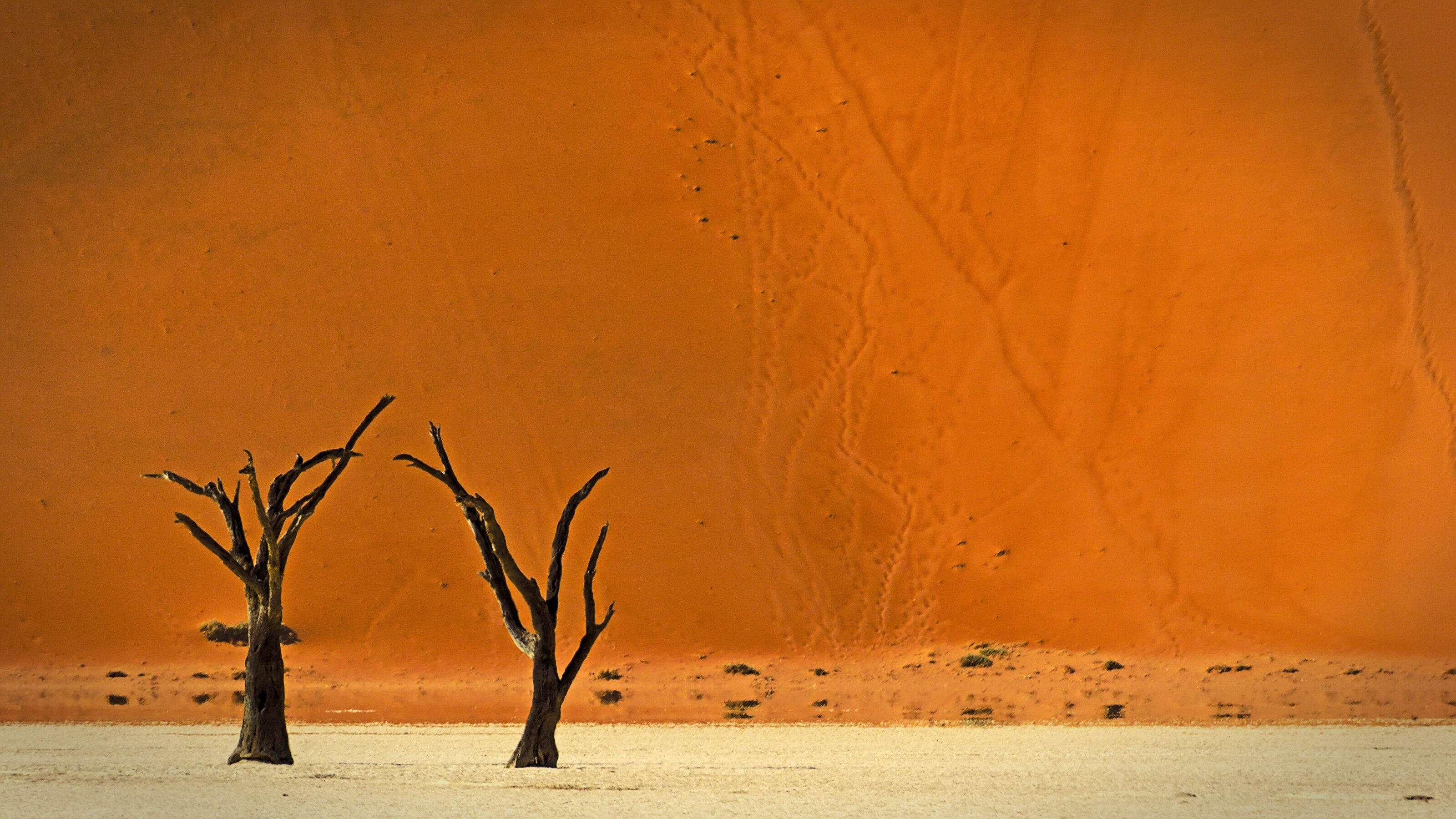 Dead Vlei