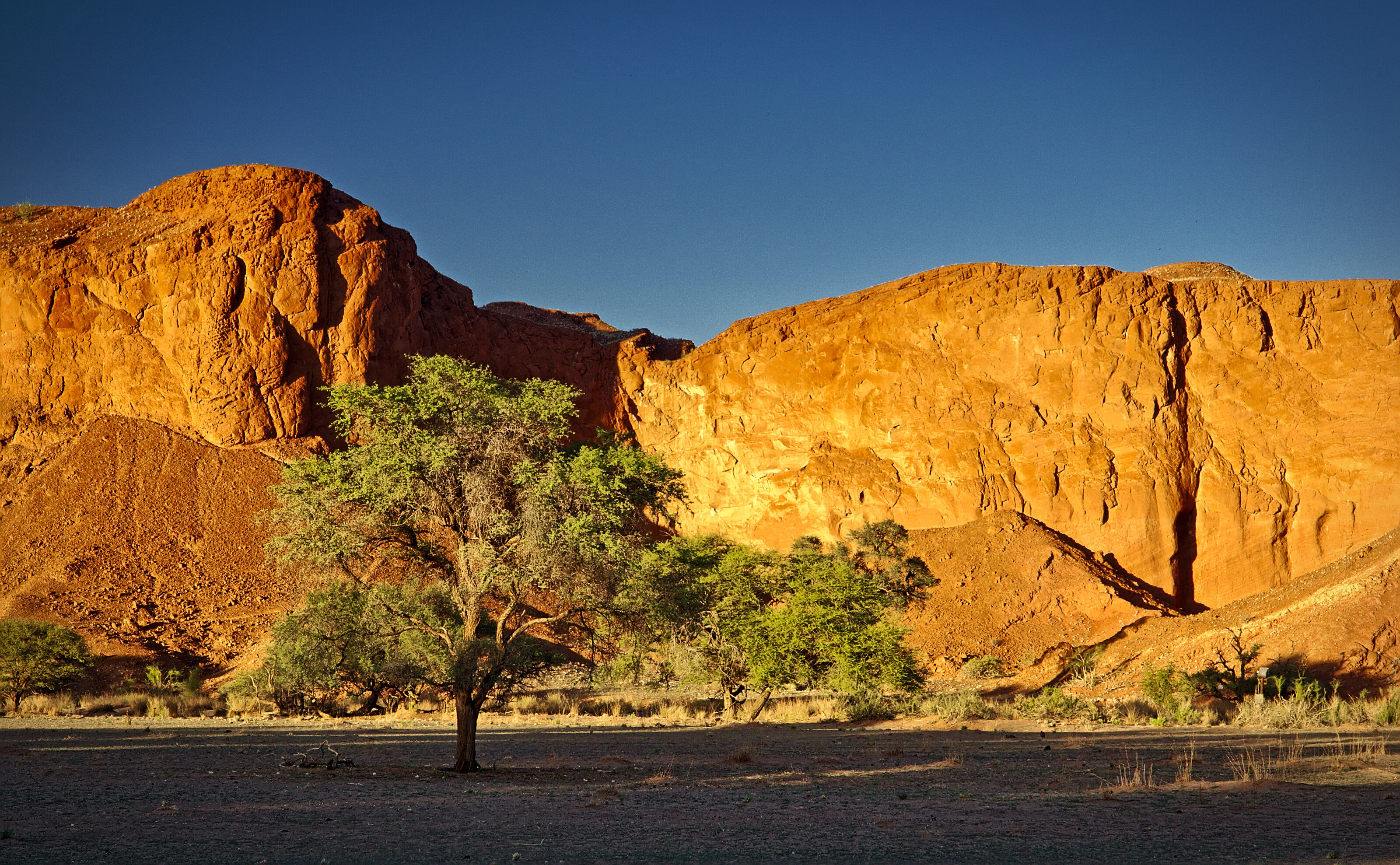 Petrified Dunes
