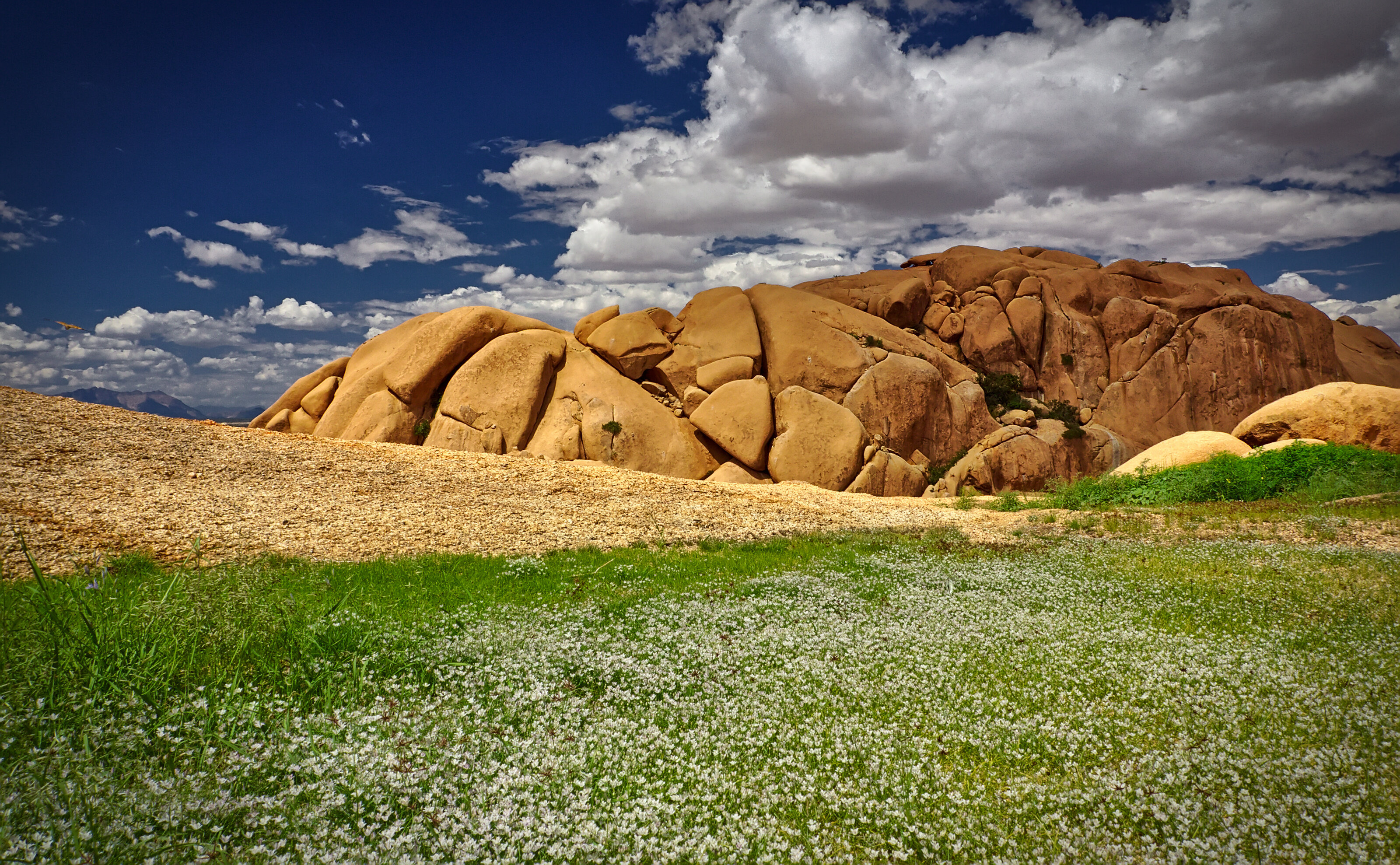 A Spot Of Green On Top Of The Rocks