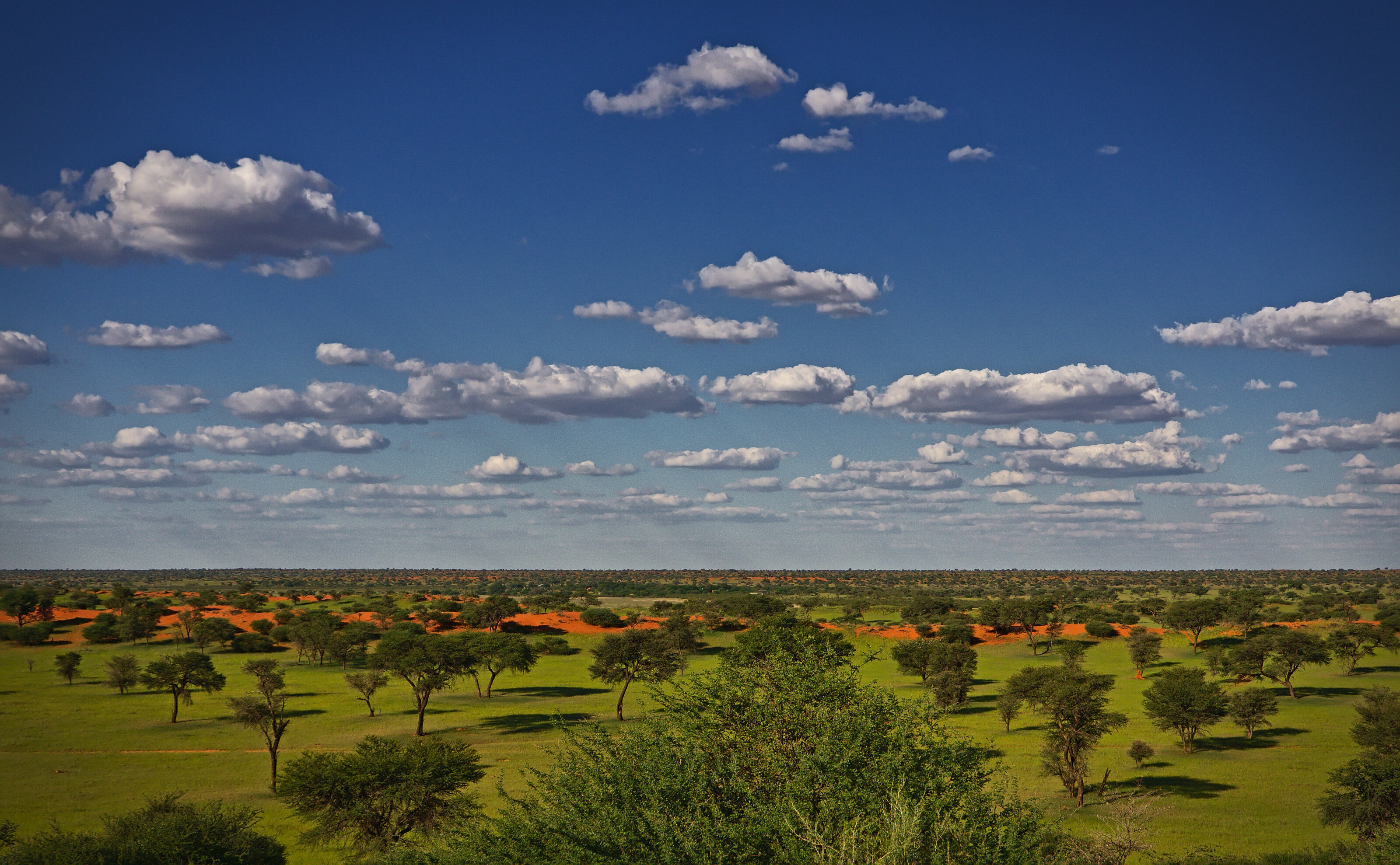 Vastness of the Kalahari