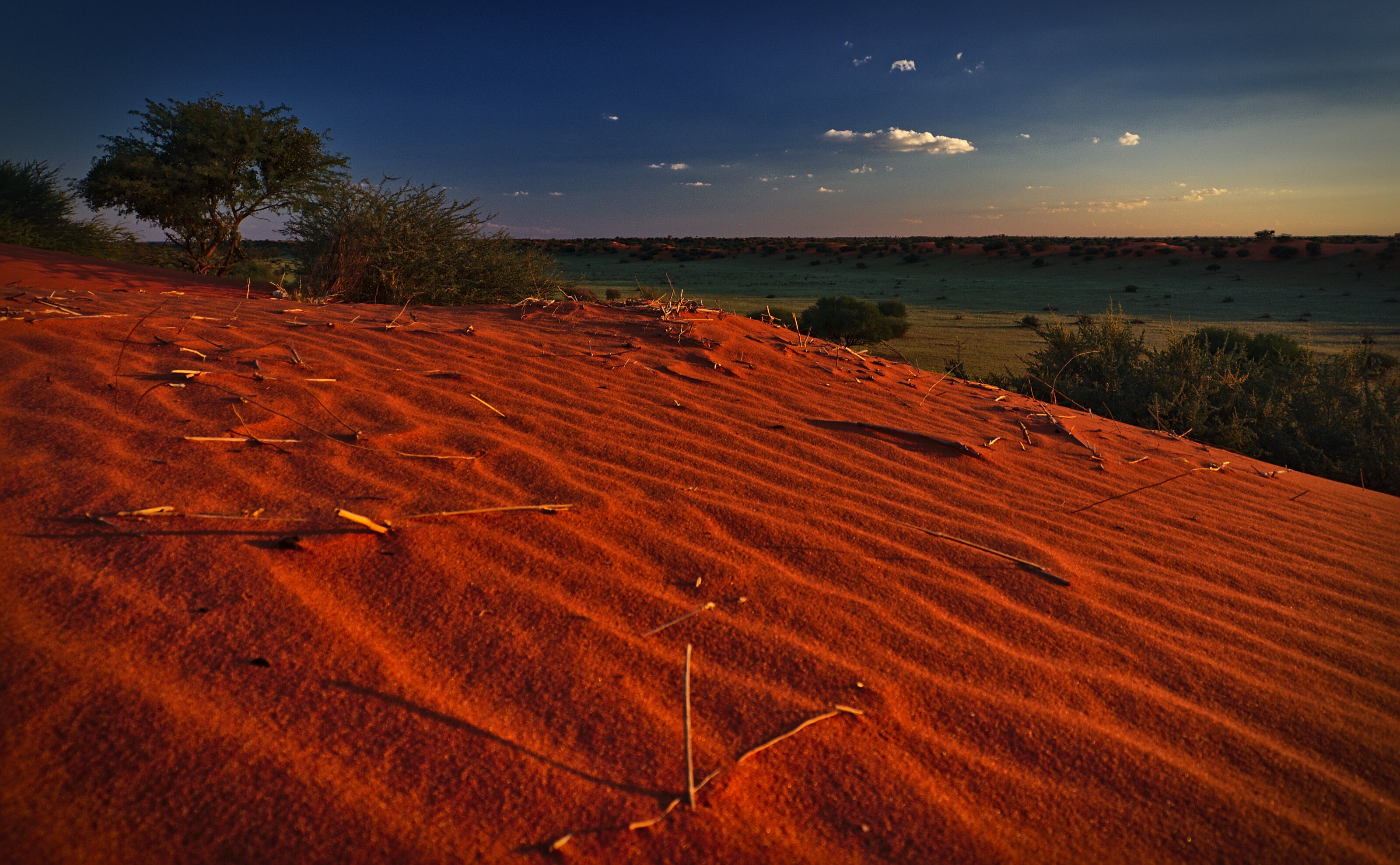Kalahari Sunset