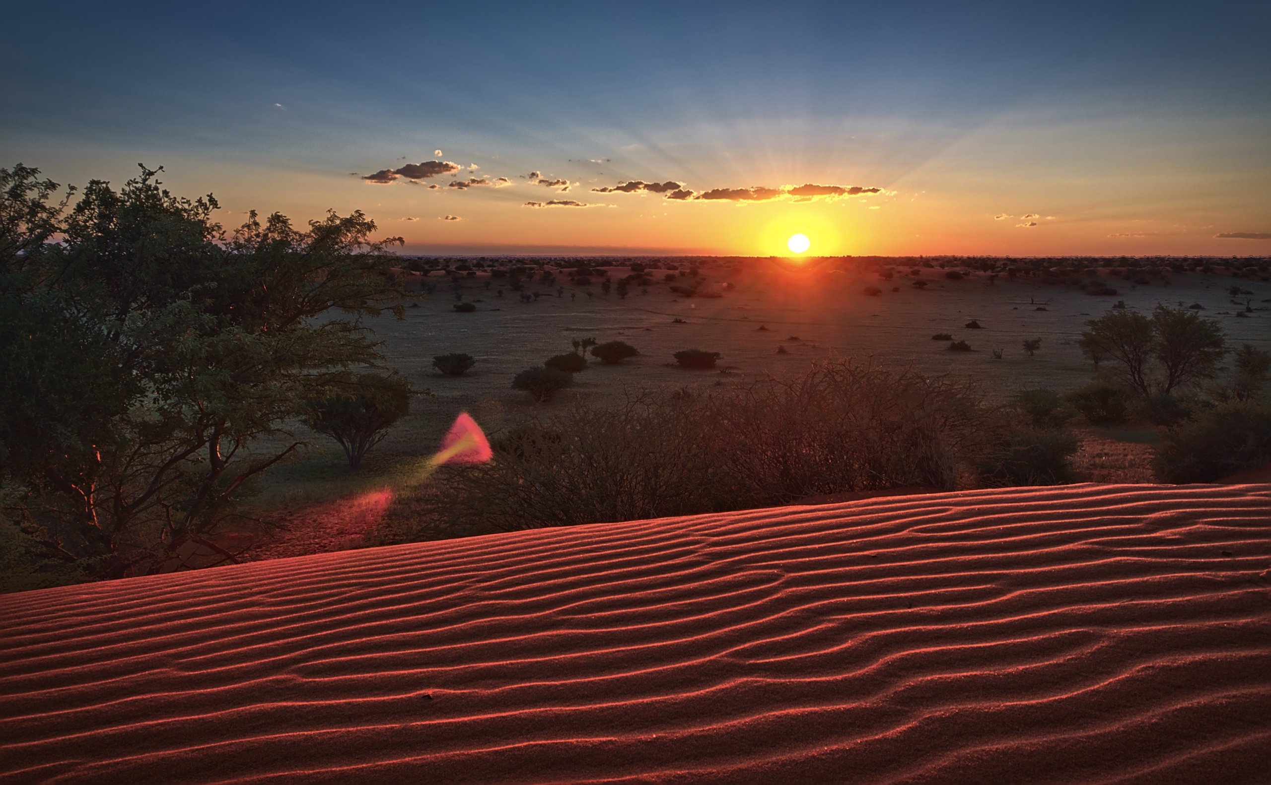 Kalahari Sunset