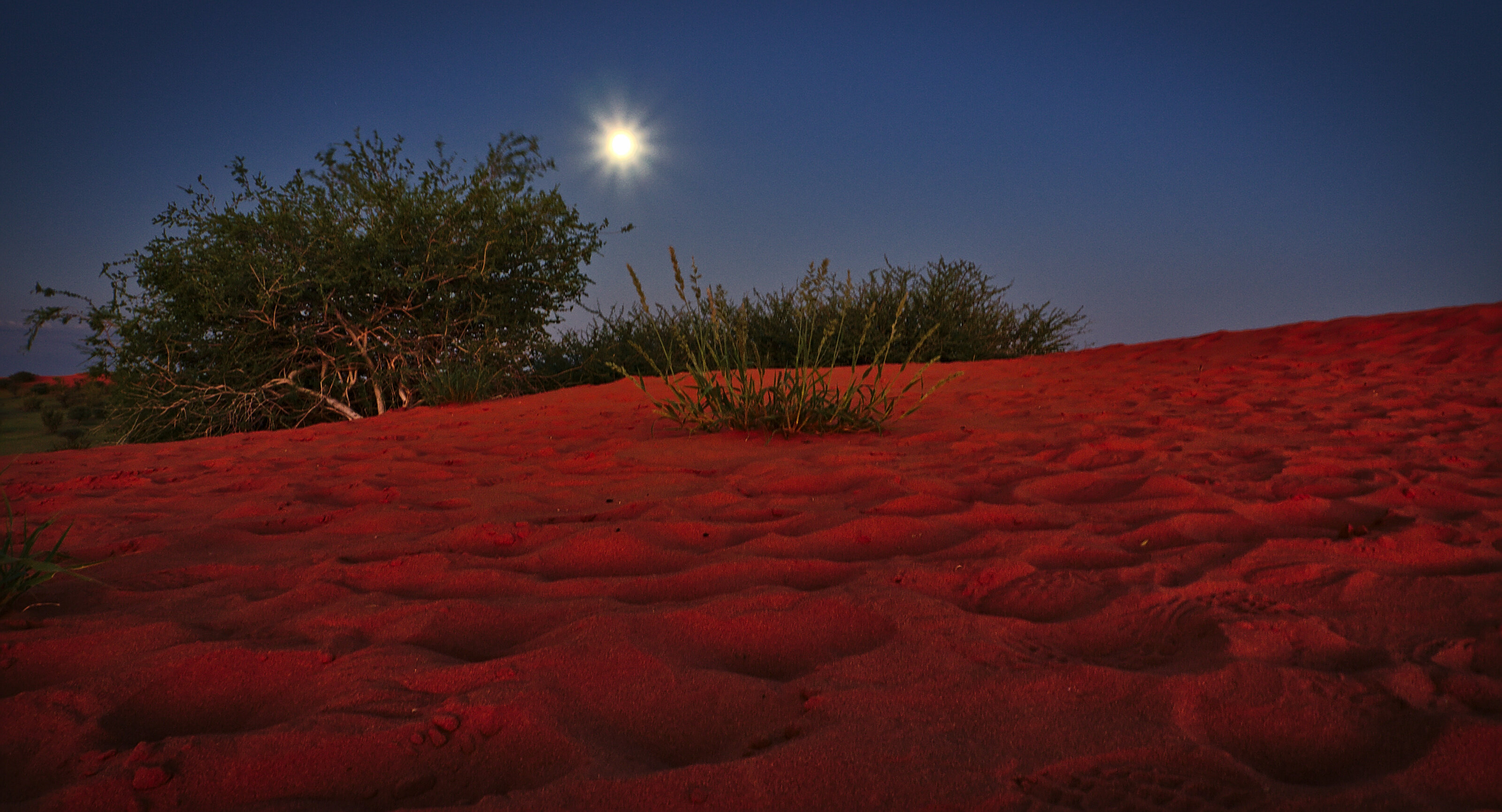 Full Moon rising over the Kalahari