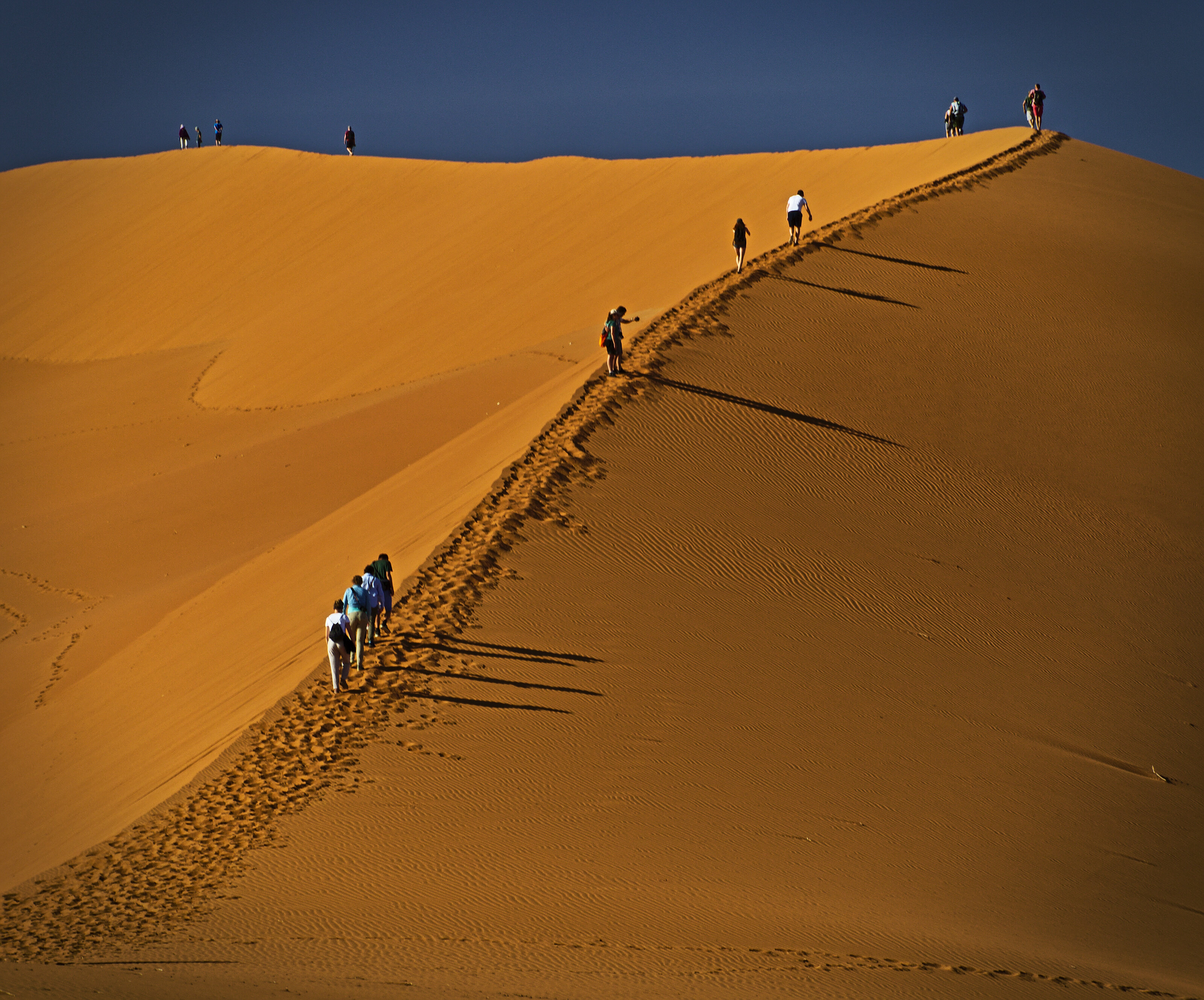 Climbing Up The Dune