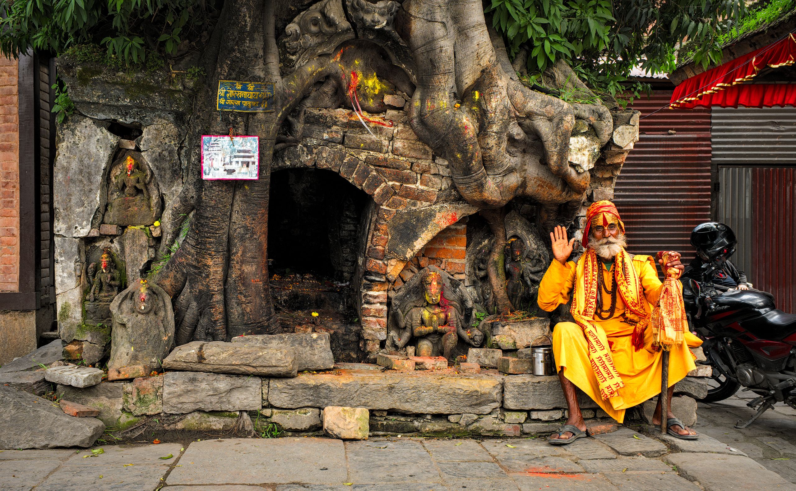 Bhodi Tree, Holy Man